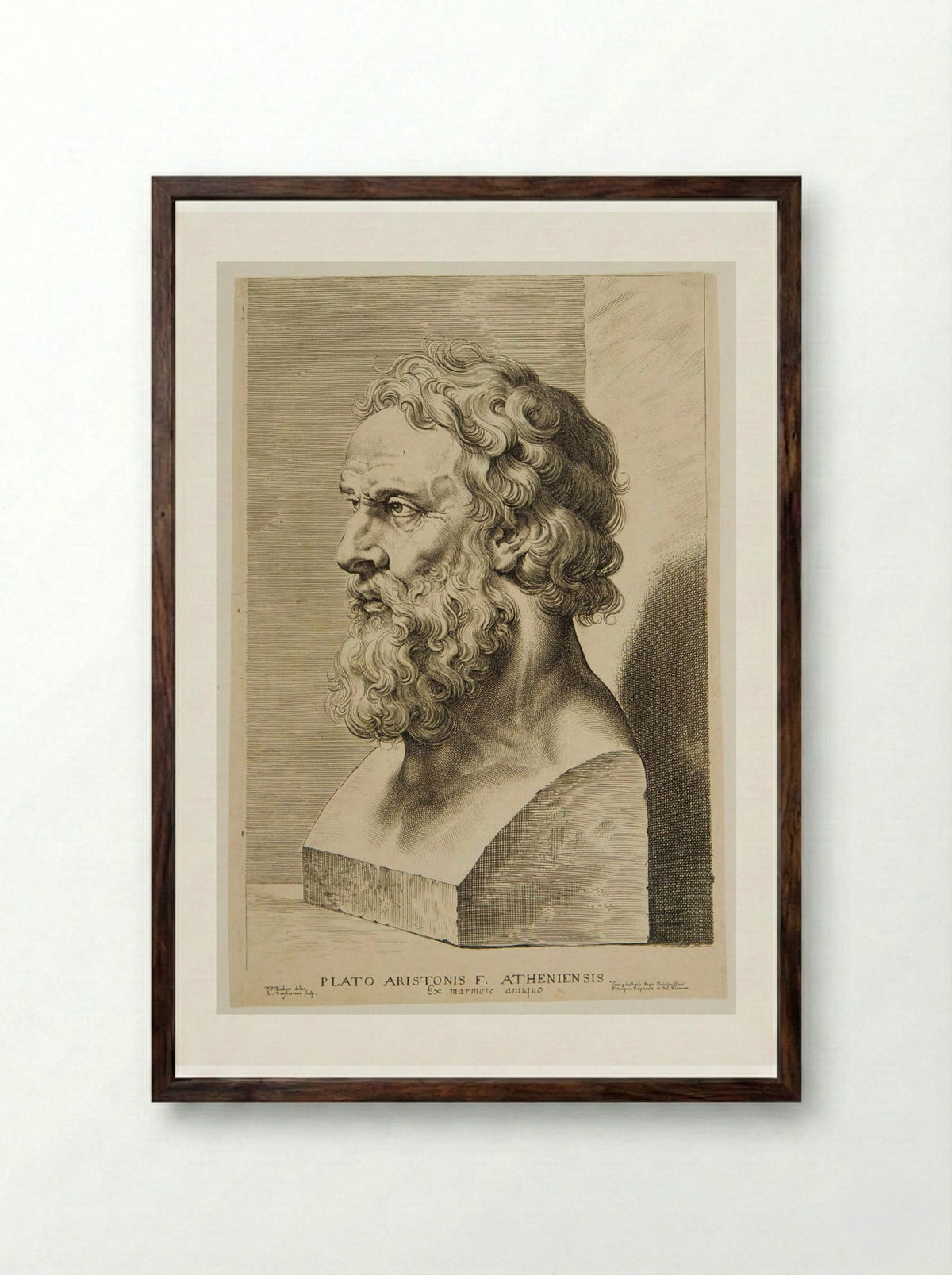 Bust of Plato - Lucas Vorsterman I - Framed Print Dark Wood