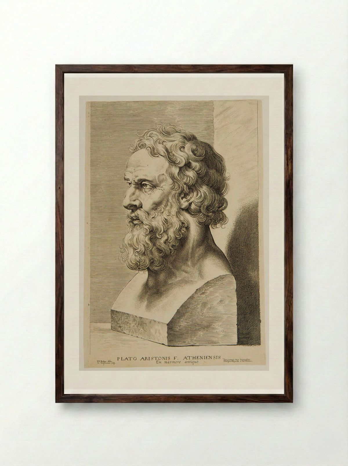 Bust of Plato - Lucas Vorsterman I - Framed Print Dark Wood