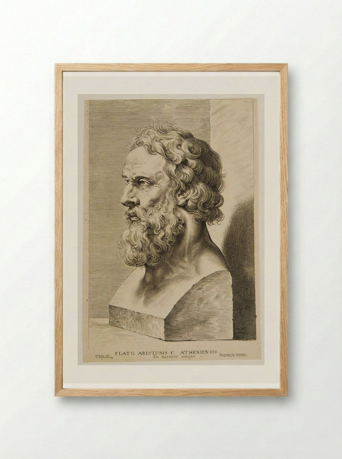 Bust of Plato - Lucas Vorsterman I - Framed Print Wood