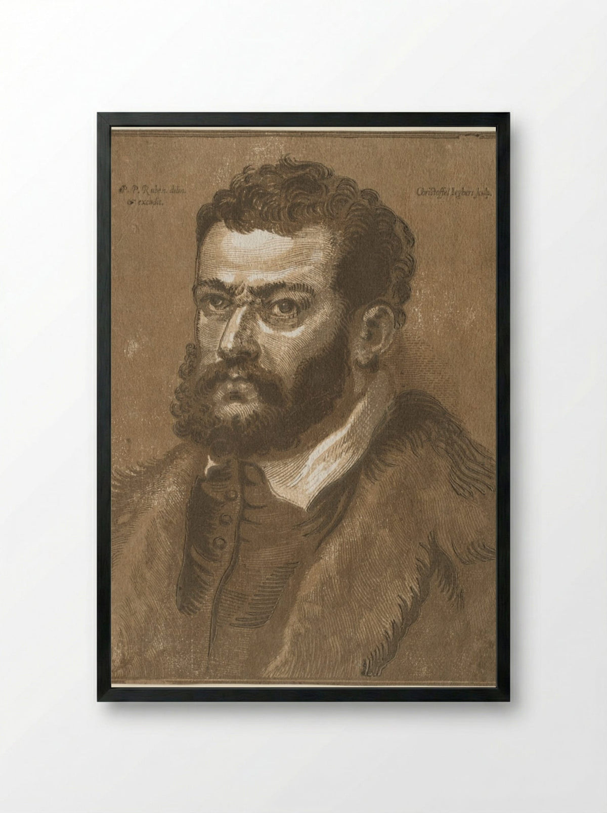 Bust of a Bearded Man (Doge Giovanni Cornaro) - Christoffel Jegher - Framed Print Black