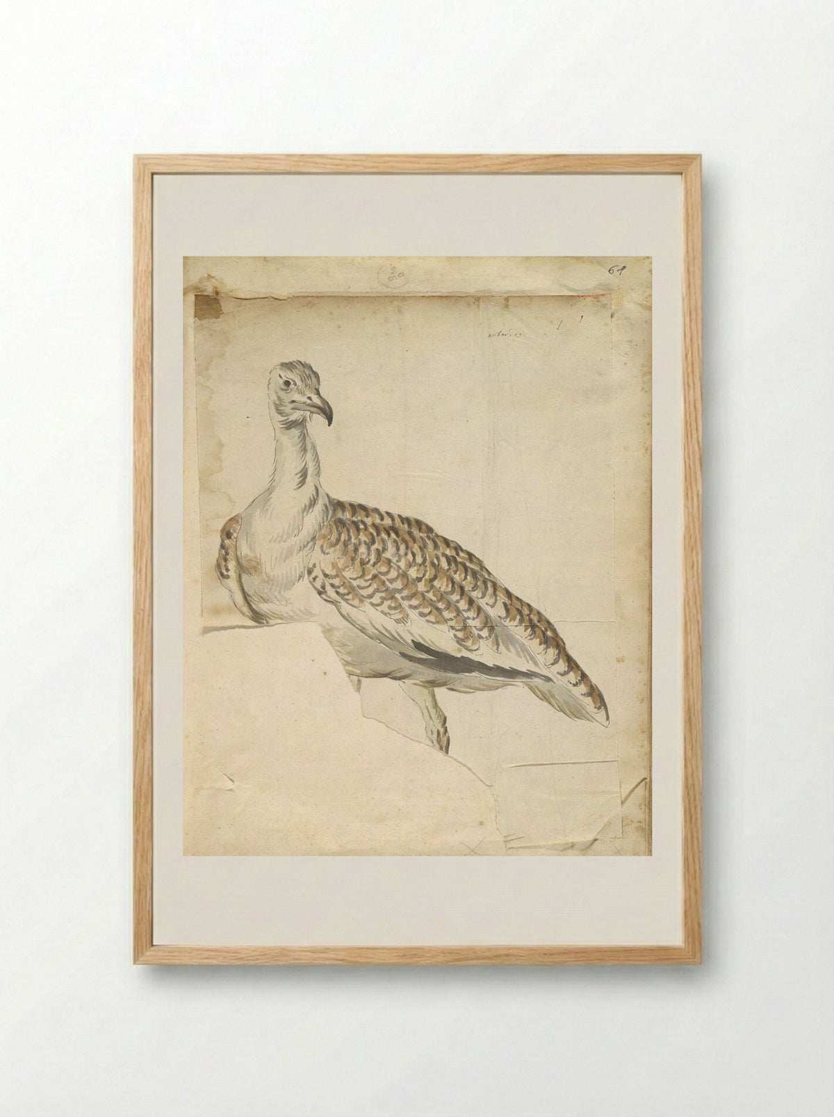 Bustard - Jean-Baptiste Oudry - Framed Print Wood
