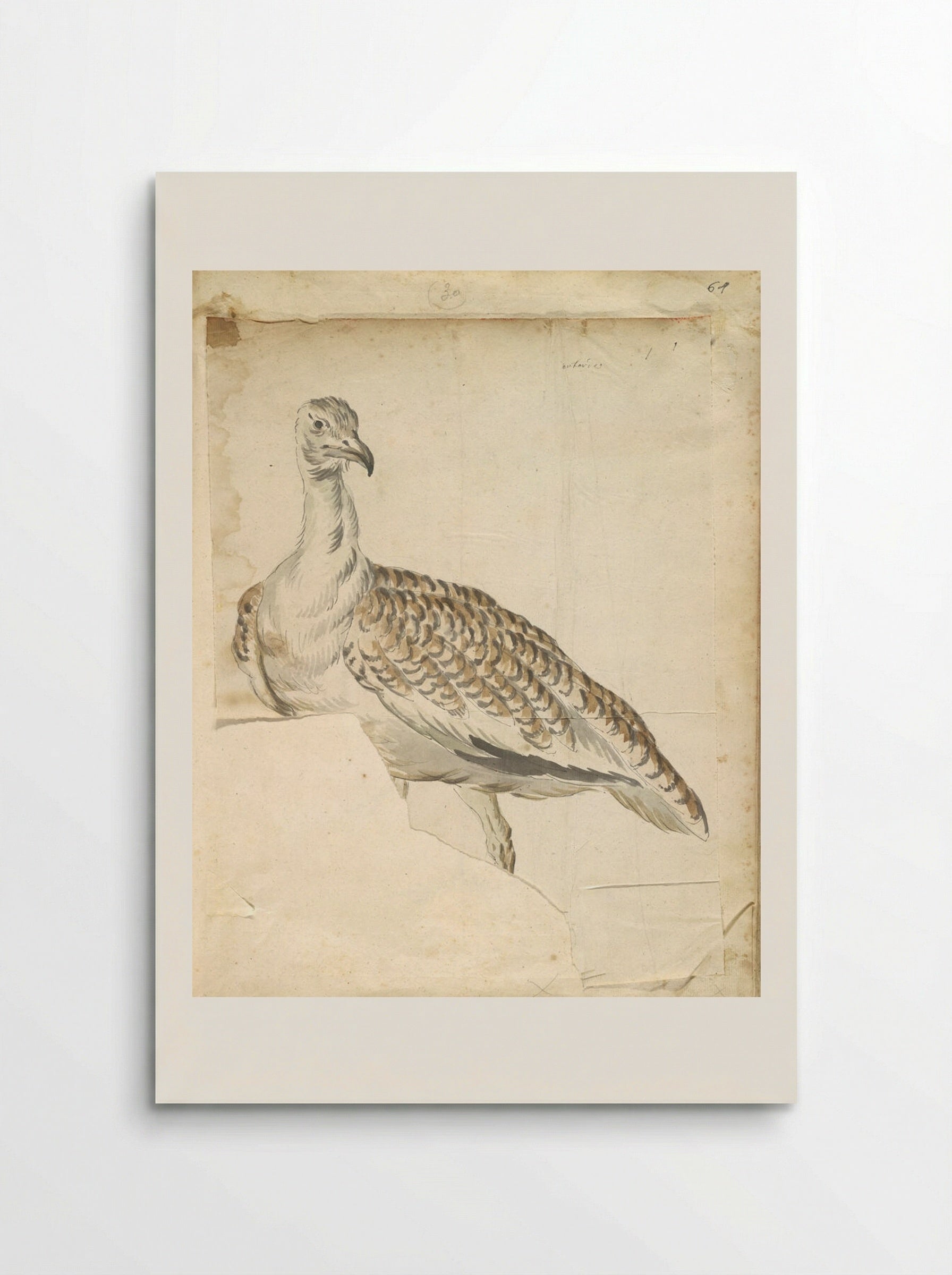 Bustard - Jean-Baptiste Oudry - Poster
