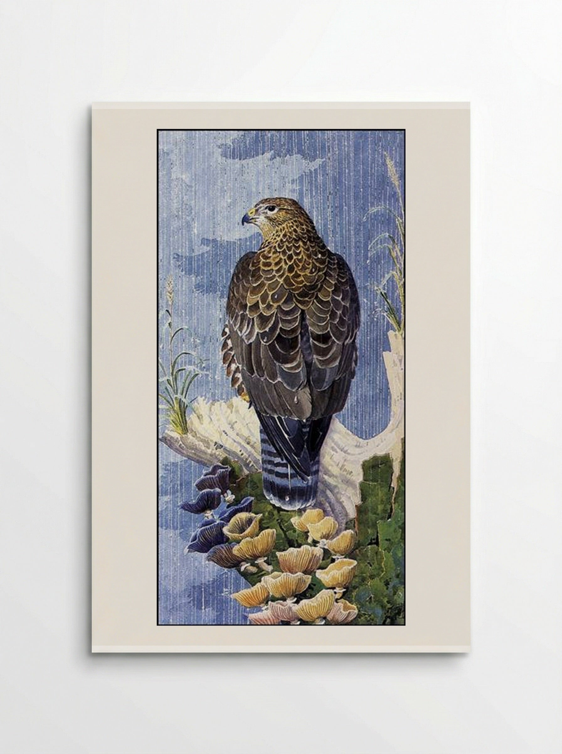 Buzzard In The Rain - Charles Tunnicliffe - Poster