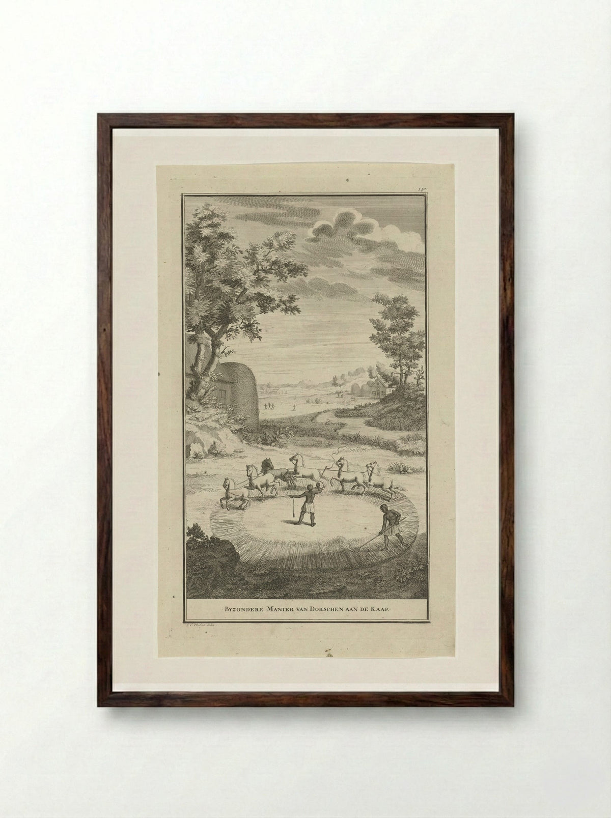 Byzondere manier van dorschen aan de Kaap - Jan Caspar Philips - Framed Print Dark Wood