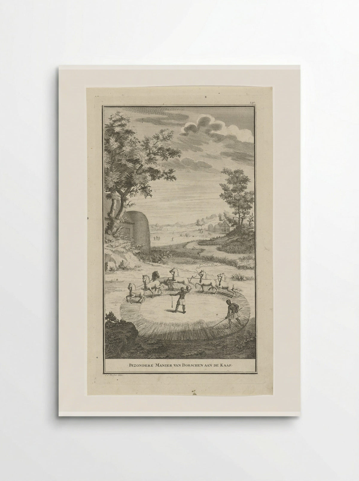 Byzondere manier van dorschen aan de Kaap - Jan Caspar Philips - Poster