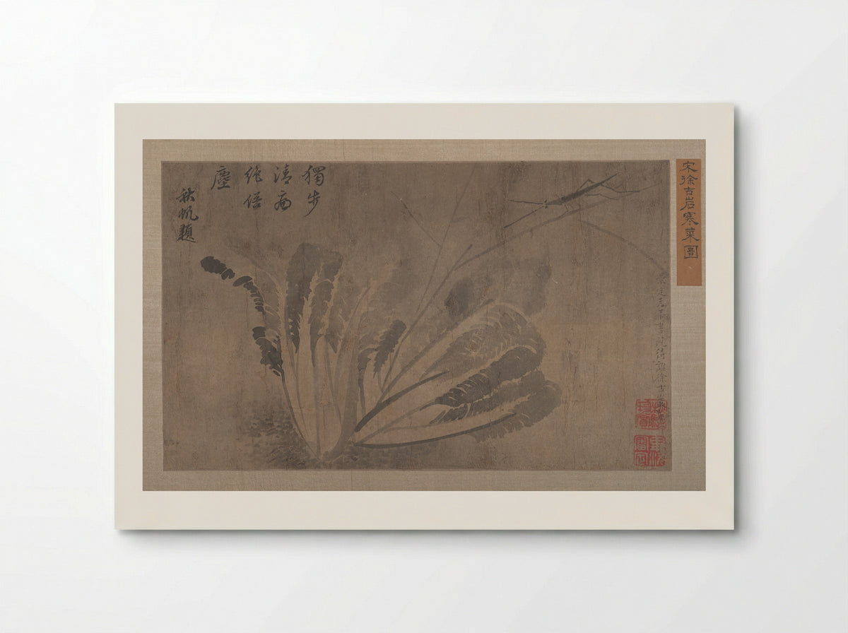 Cabbage and Insects - Xü Daoguang - Poster