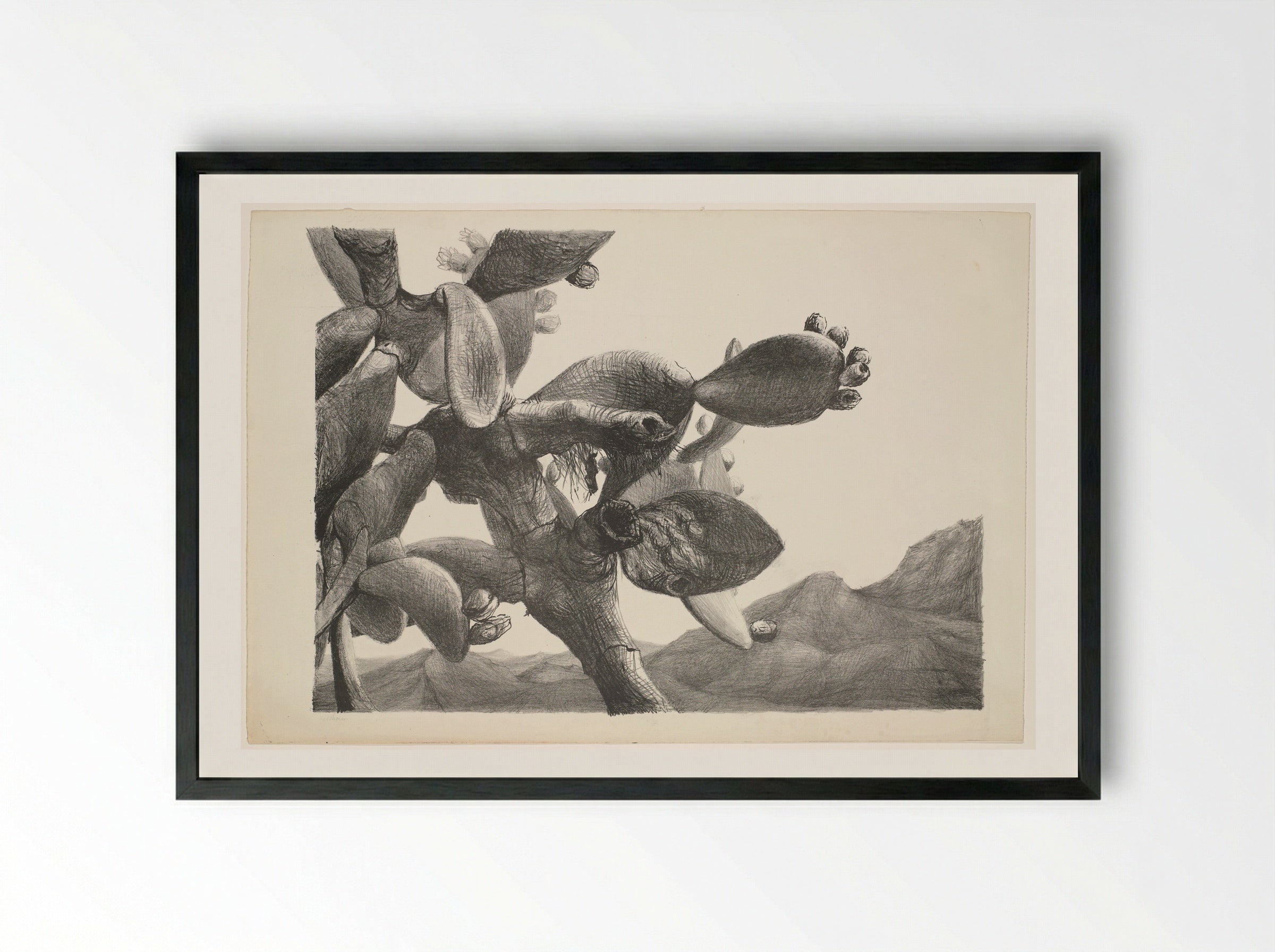Cactus in landschap op Ibiza - Aat Veldhoen - Framed Print Black
