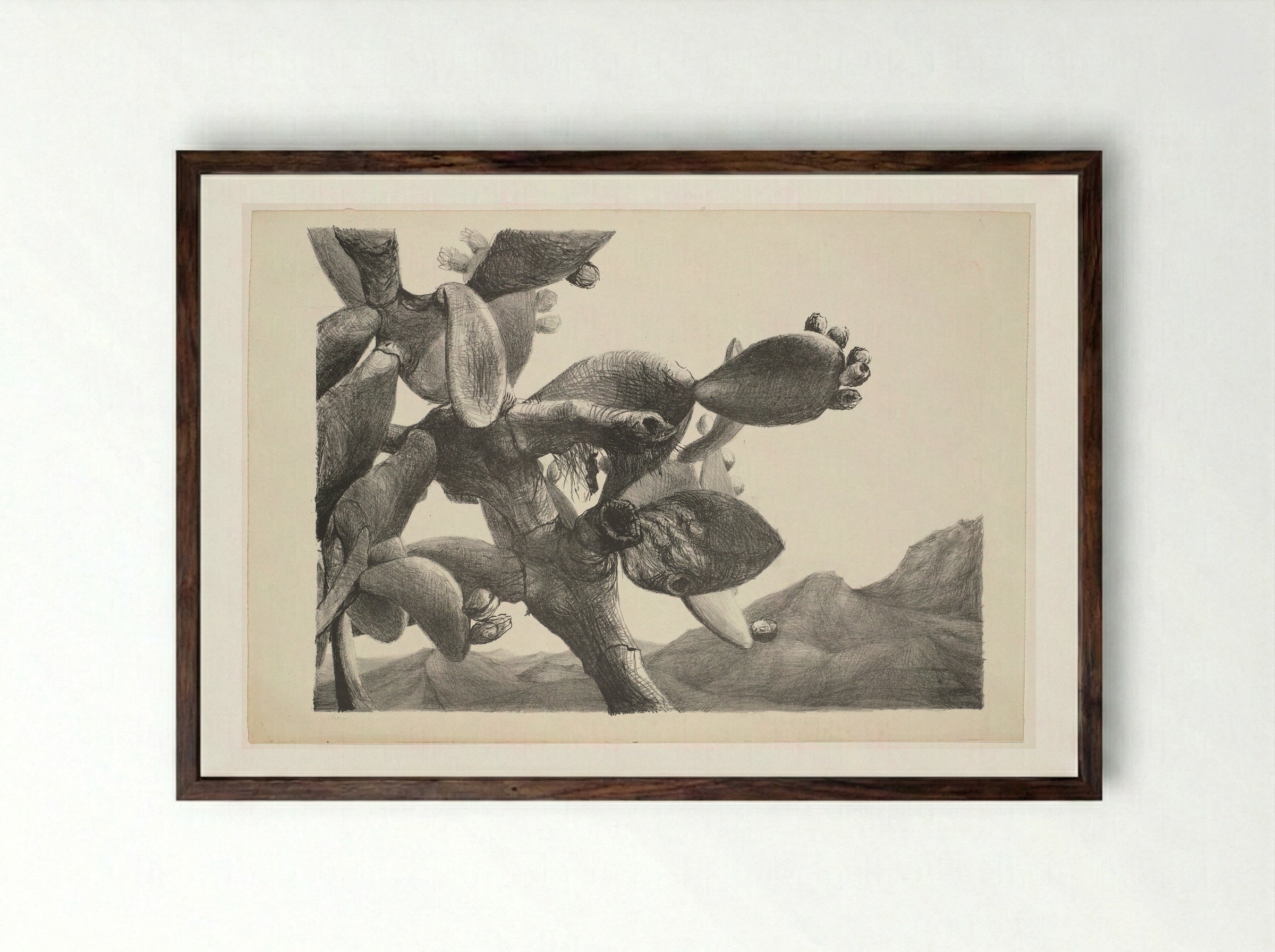 Cactus in landschap op Ibiza - Aat Veldhoen - Framed Print Dark Wood