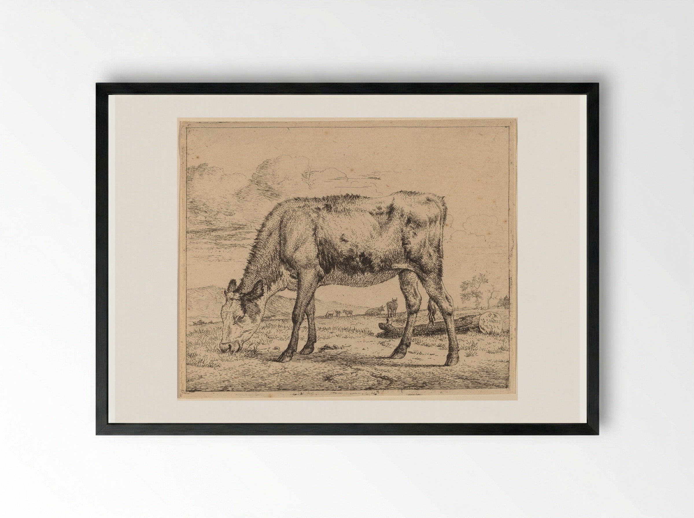 Calf - Adriaen van de Velde - Framed Print Black