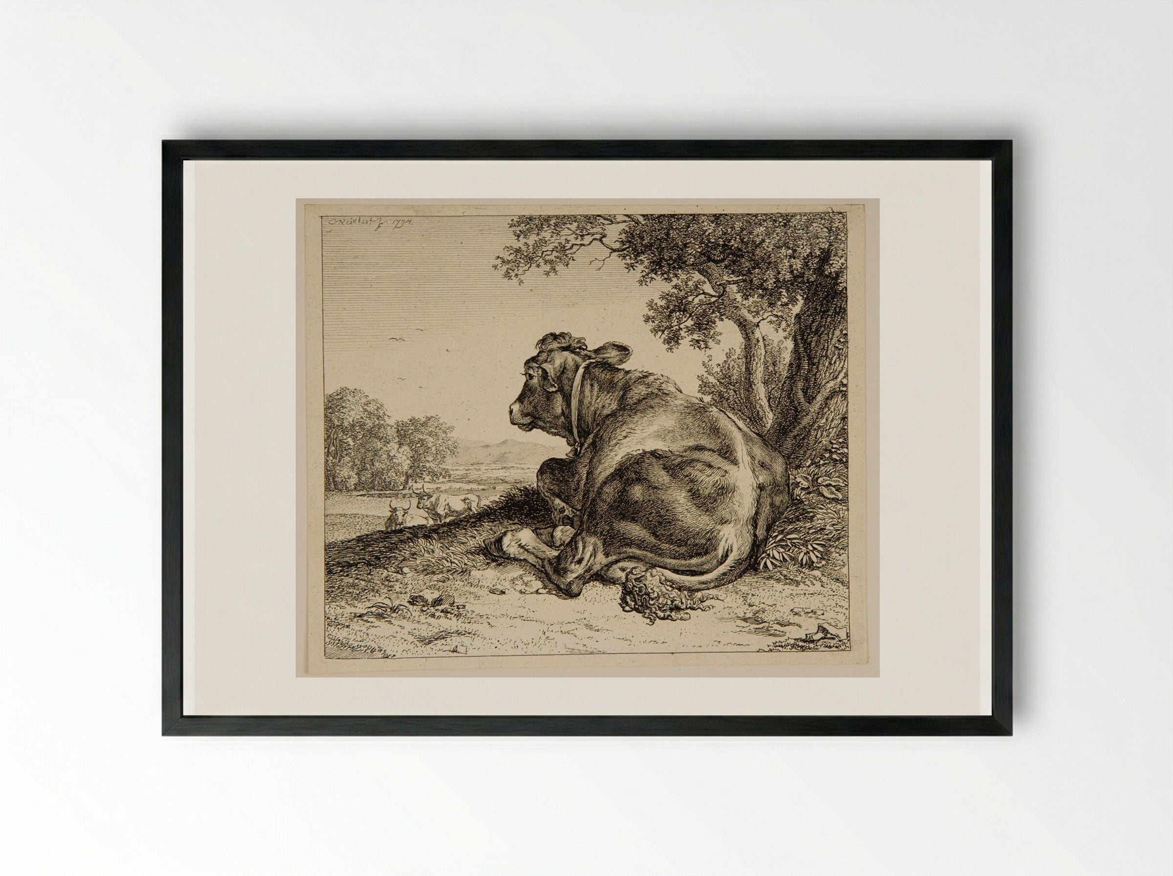 Calf - Johann Christian Reinhart - Framed Print Black