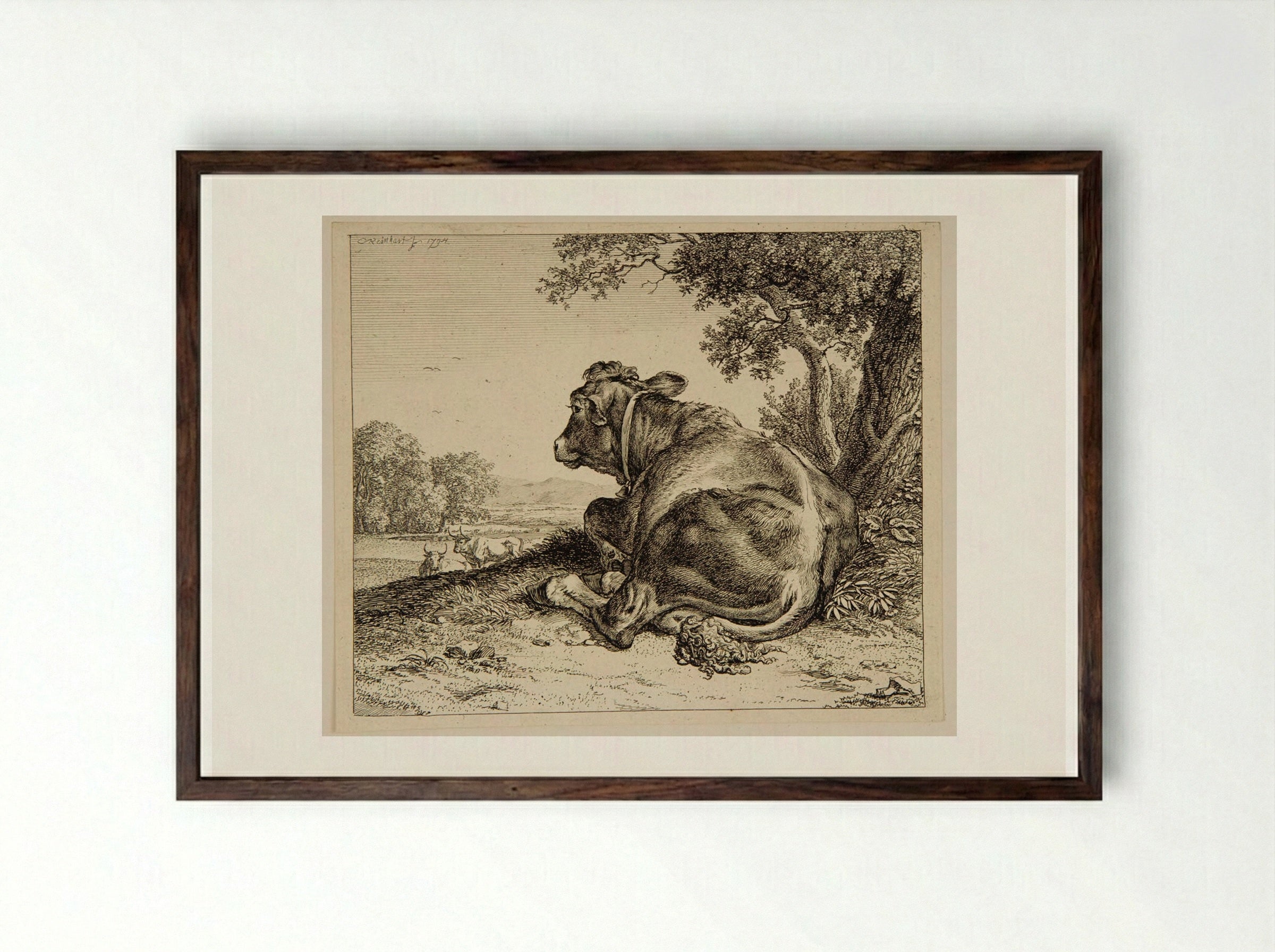 Calf - Johann Christian Reinhart - Framed Print Dark Wood