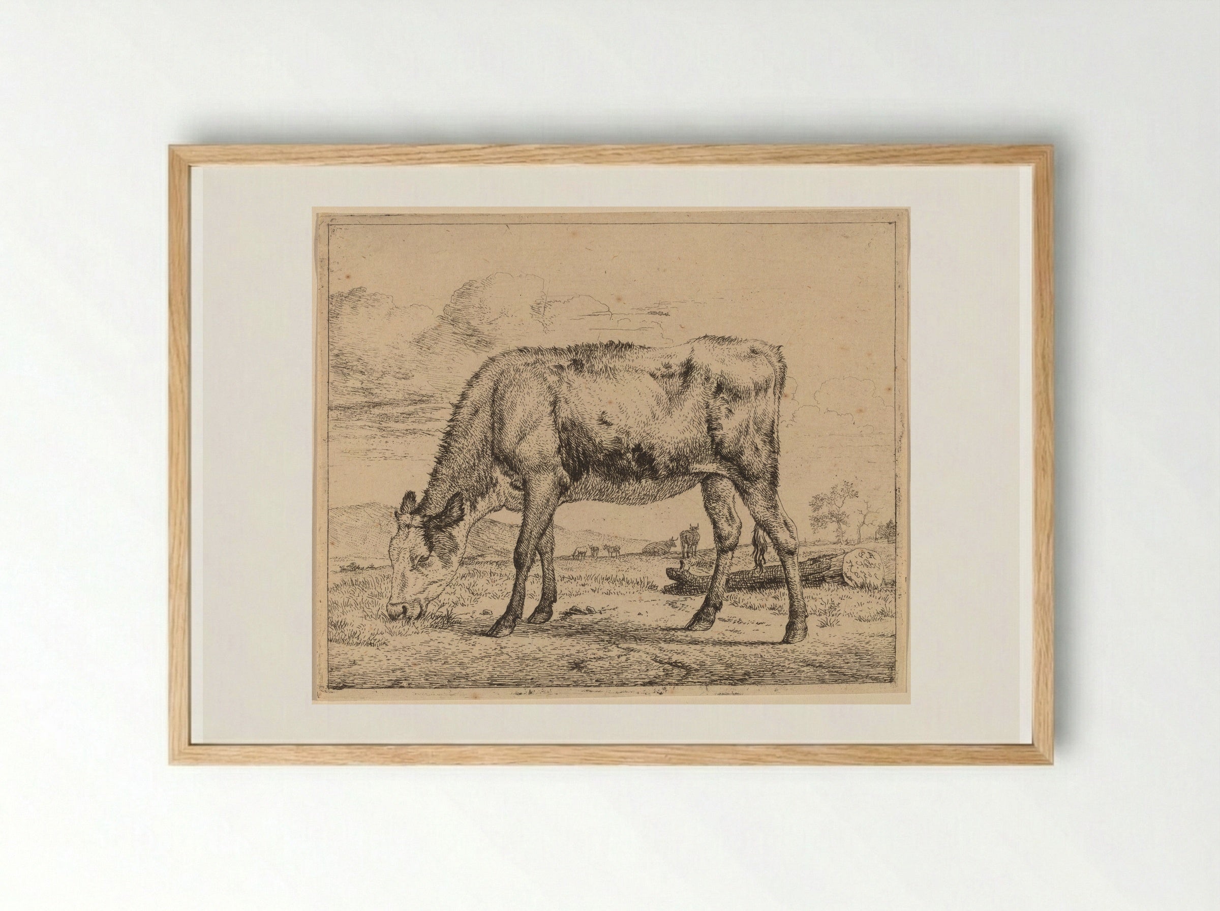 Calf - Adriaen van de Velde - Framed Print Wood