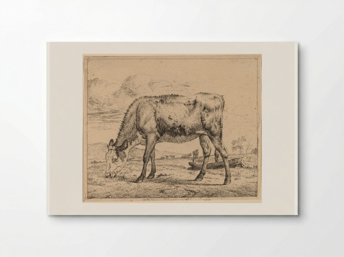 Calf - Adriaen van de Velde - Poster
