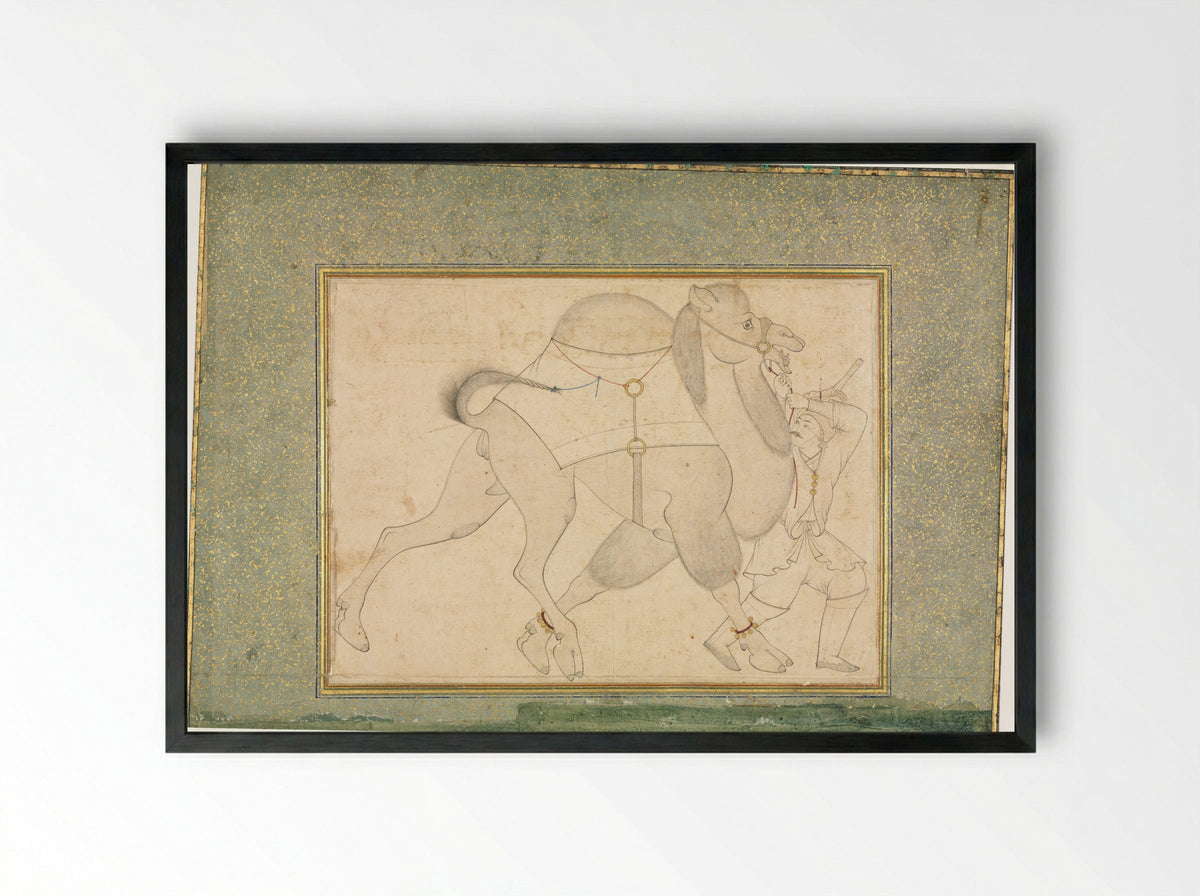 Camel and Groom - Shaykh Muhammad - Framed Print Black