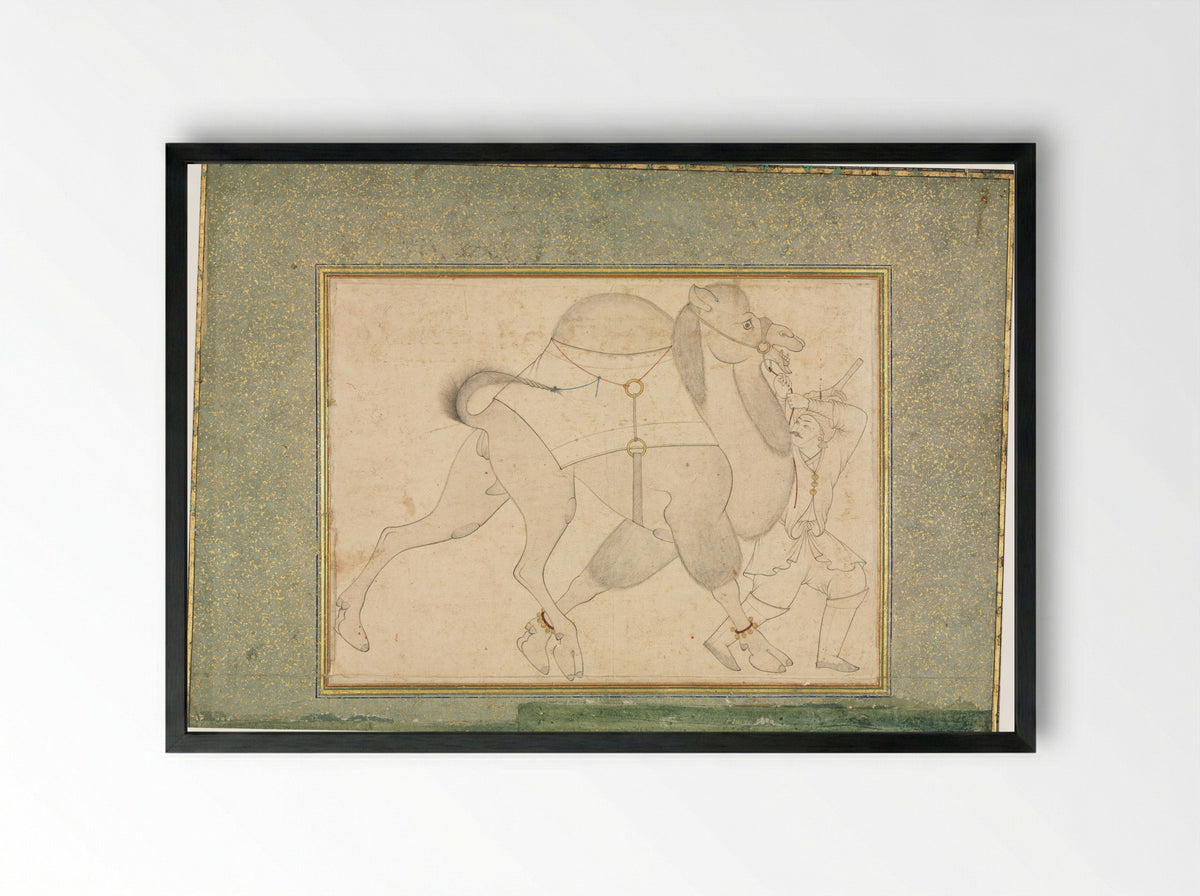 Camel and Groom - Shaykh Muhammad - Framed Print Black