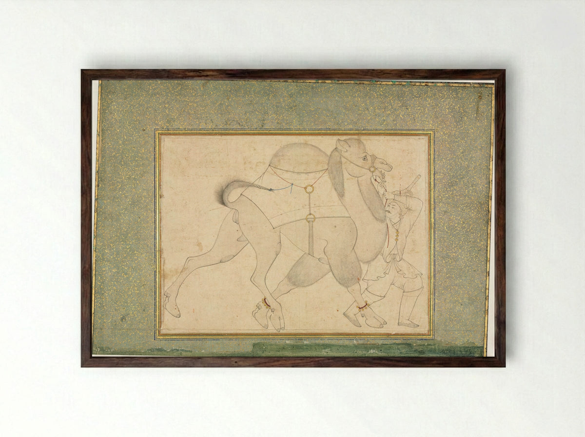Camel and Groom - Shaykh Muhammad - Framed Print Dark Wood