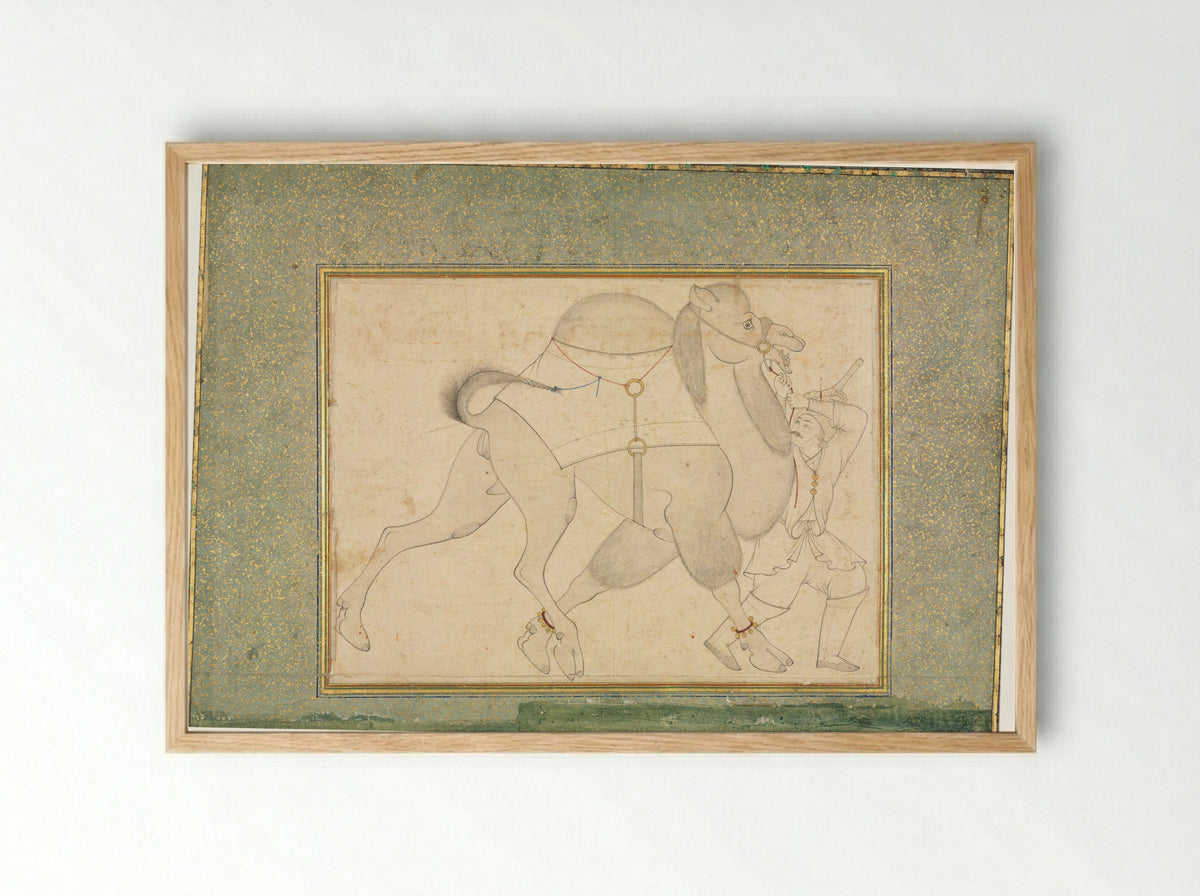 Camel and Groom - Shaykh Muhammad - Framed Print Wood