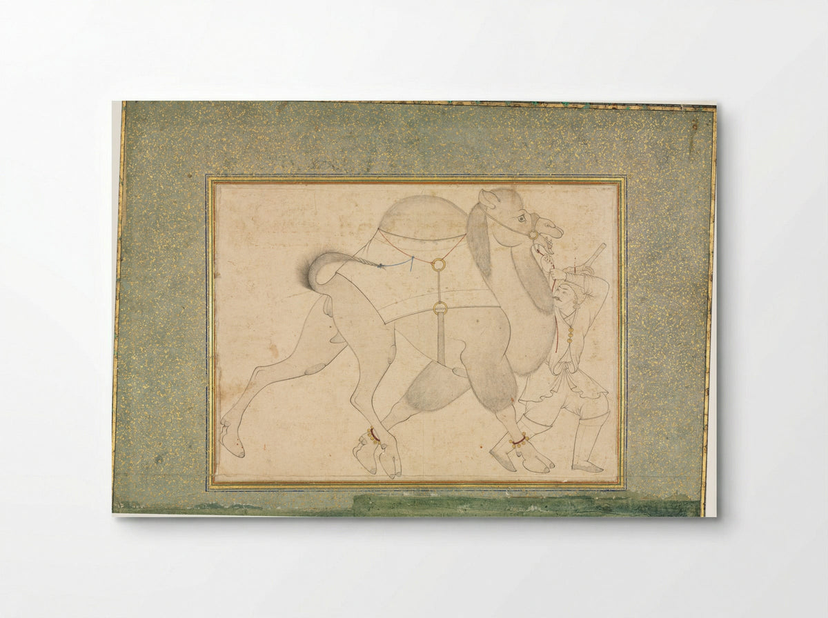 Camel and Groom - Shaykh Muhammad - Poster