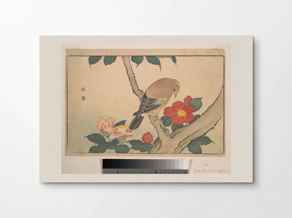Camellias with a Bird - Kuwagata Keisai - Poster