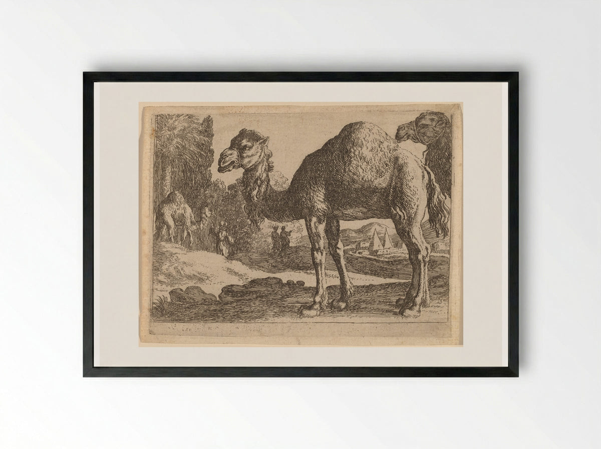 Camels - Herman van Swanevelt - Framed Print Black