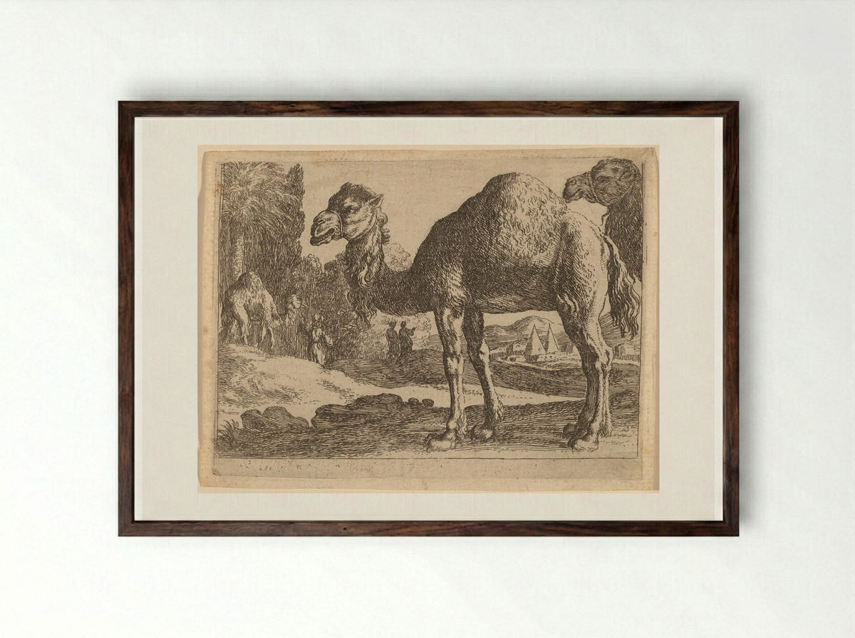 Camels - Herman van Swanevelt - Framed Print Dark Wood