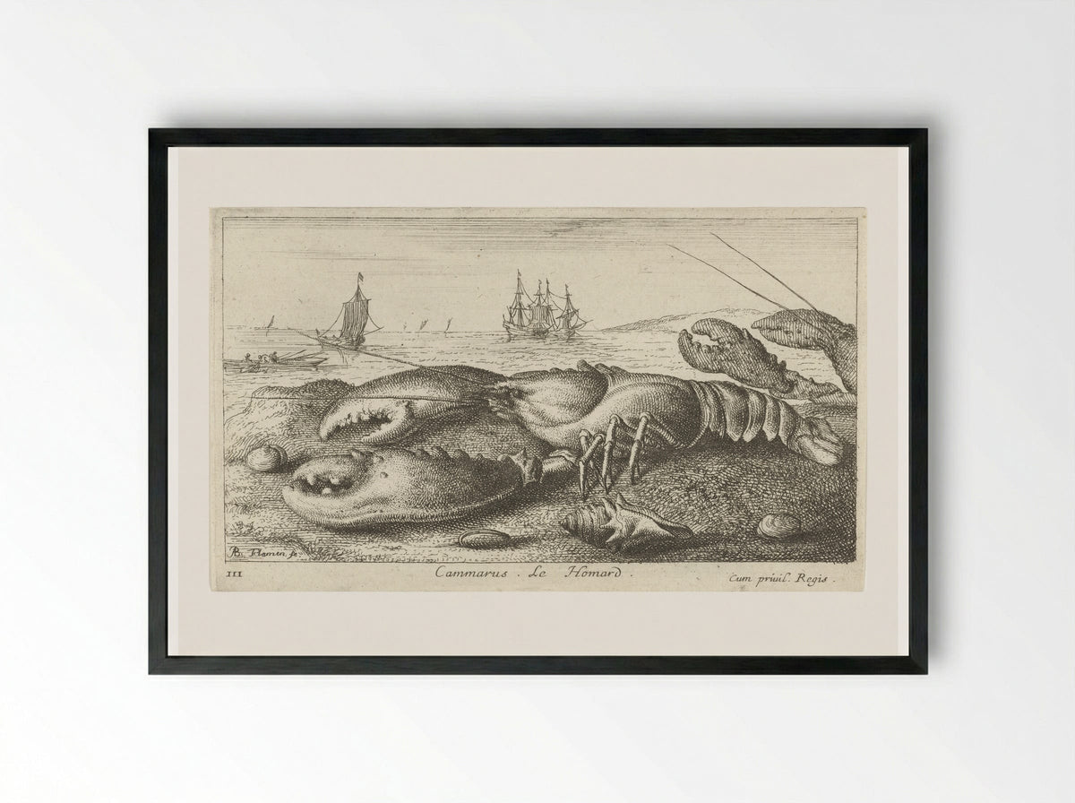 Cammarus. Le Homard - Albert Flamen - Framed Print Black