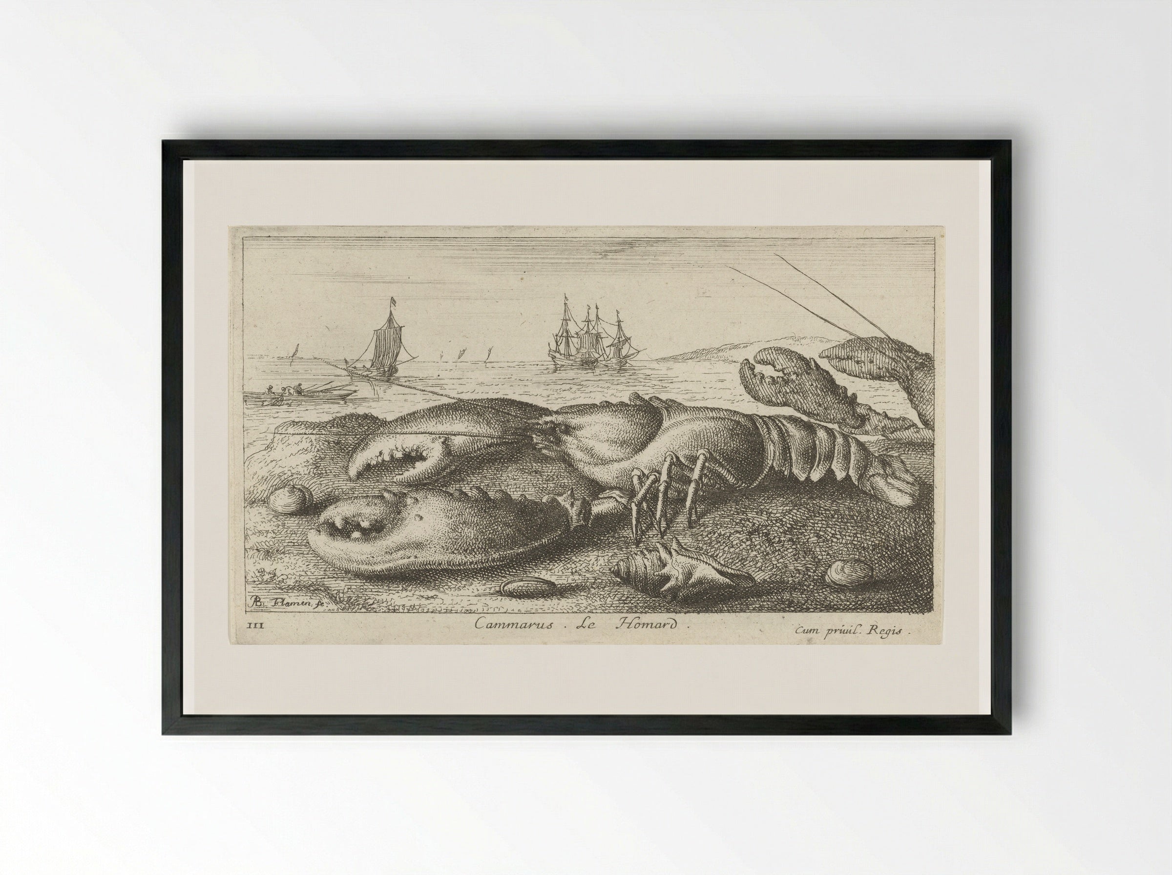 Cammarus. Le Homard - Albert Flamen - Framed Print Black