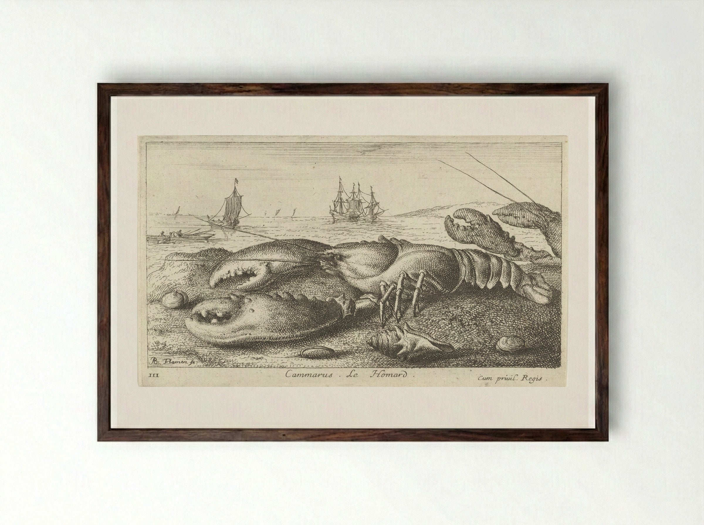 Cammarus. Le Homard - Albert Flamen - Framed Print Dark Wood