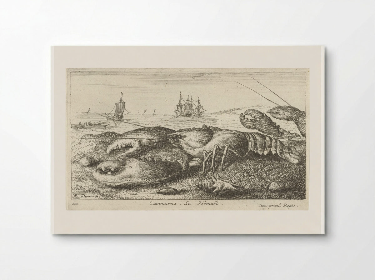 Cammarus. Le Homard - Albert Flamen - Poster