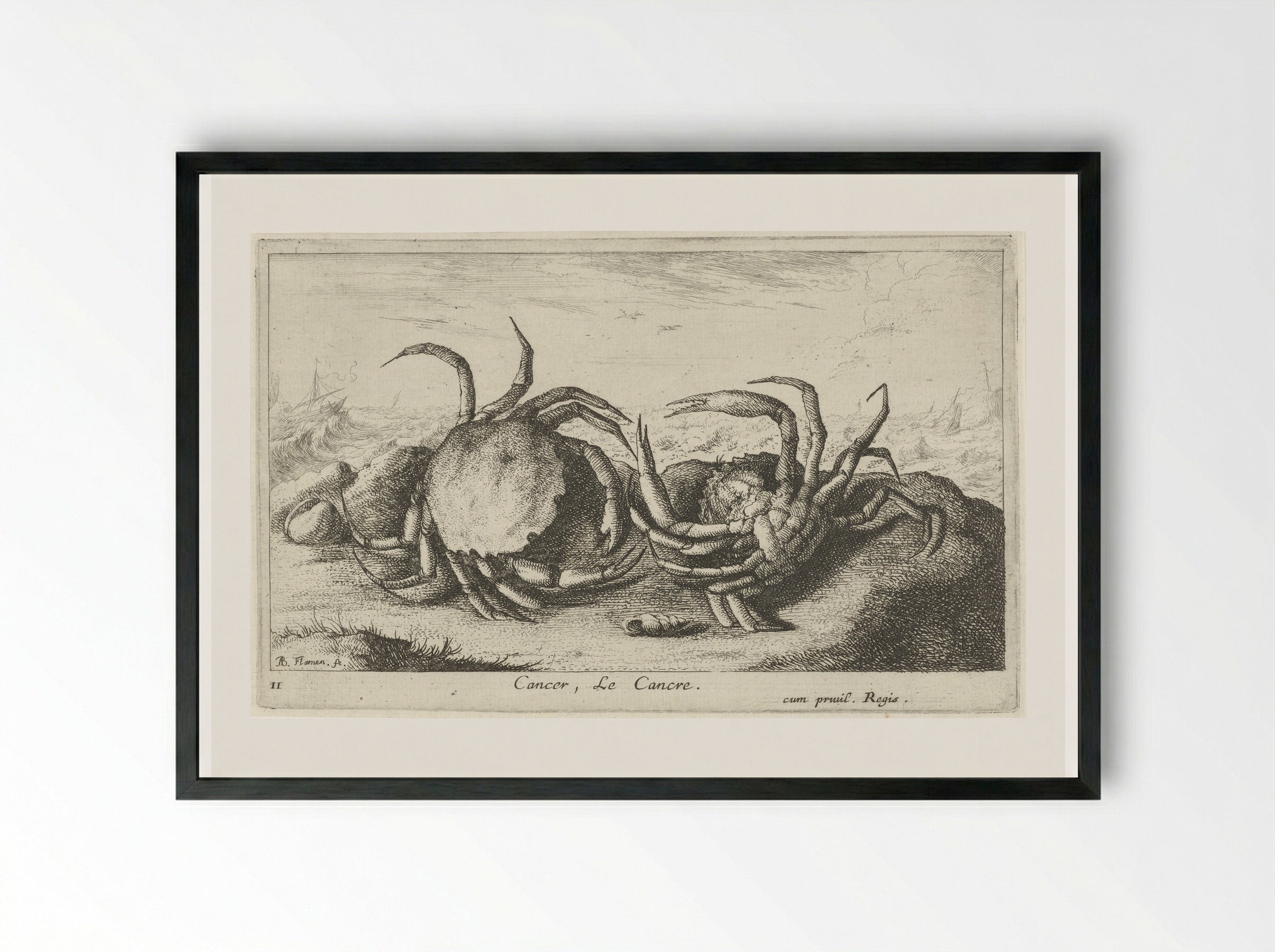 Cancer, Le Cancre - Albert Flamen - Framed Print Black
