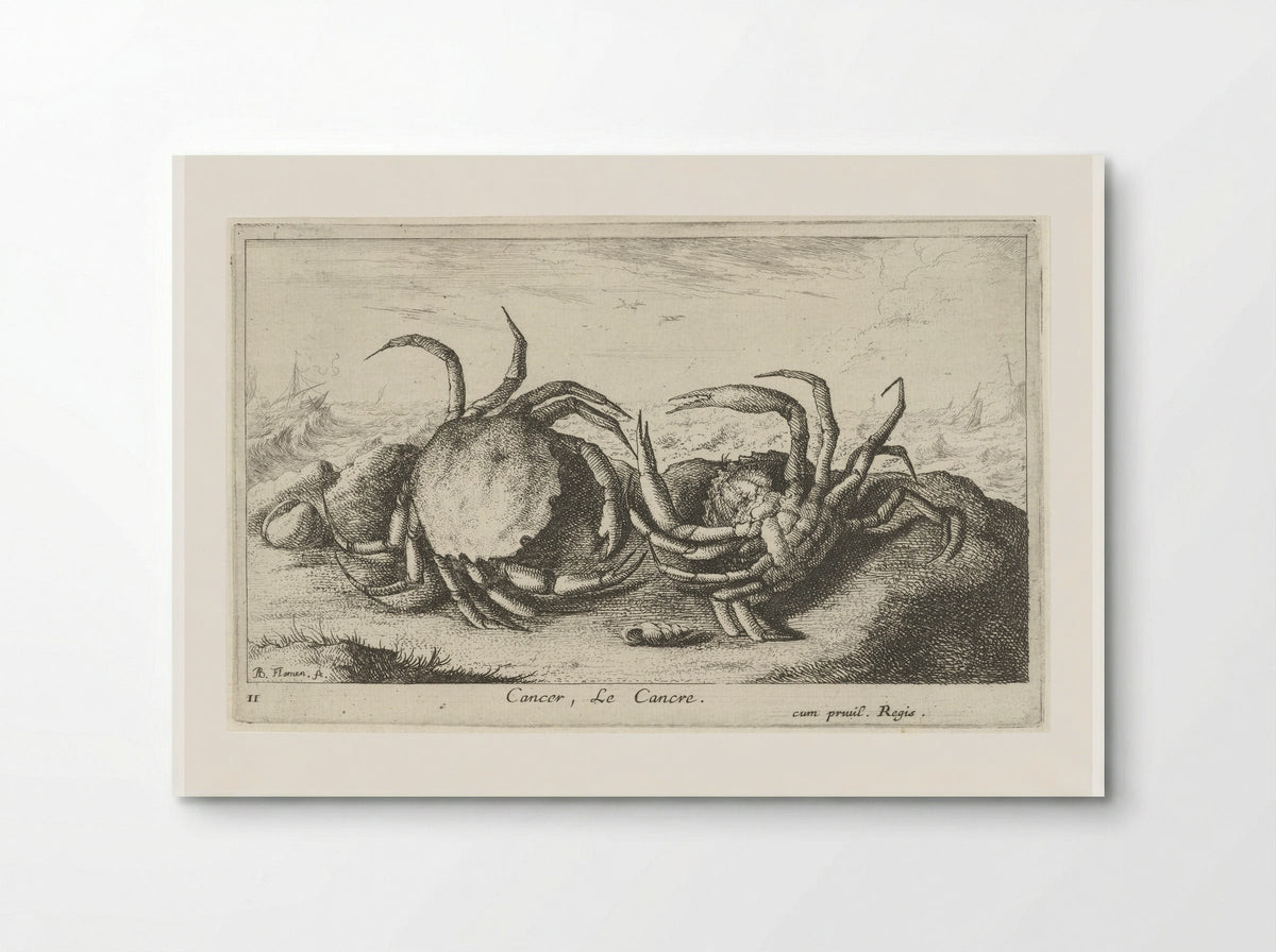 Cancer, Le Cancre - Albert Flamen - Poster