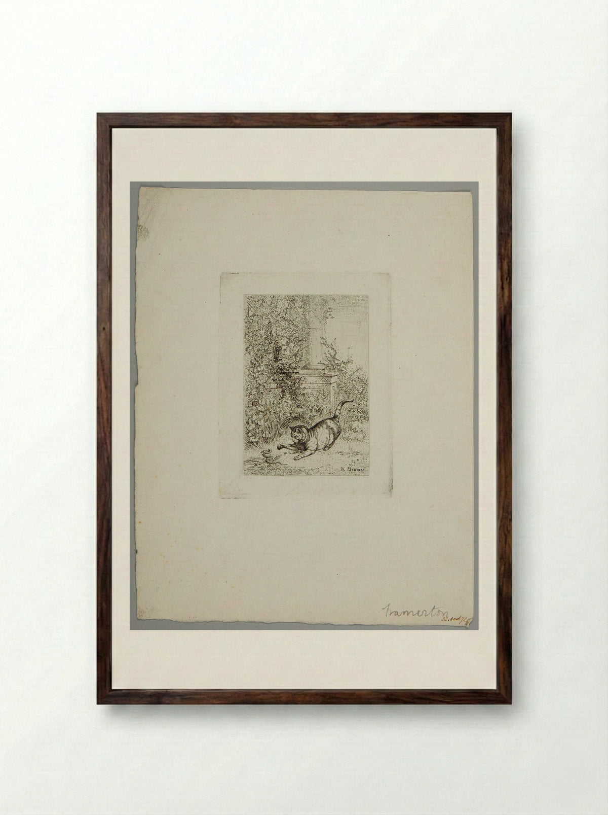 Cat Playing with a Grass Snake - Karl Bodmer - Framed Print Dark Wood