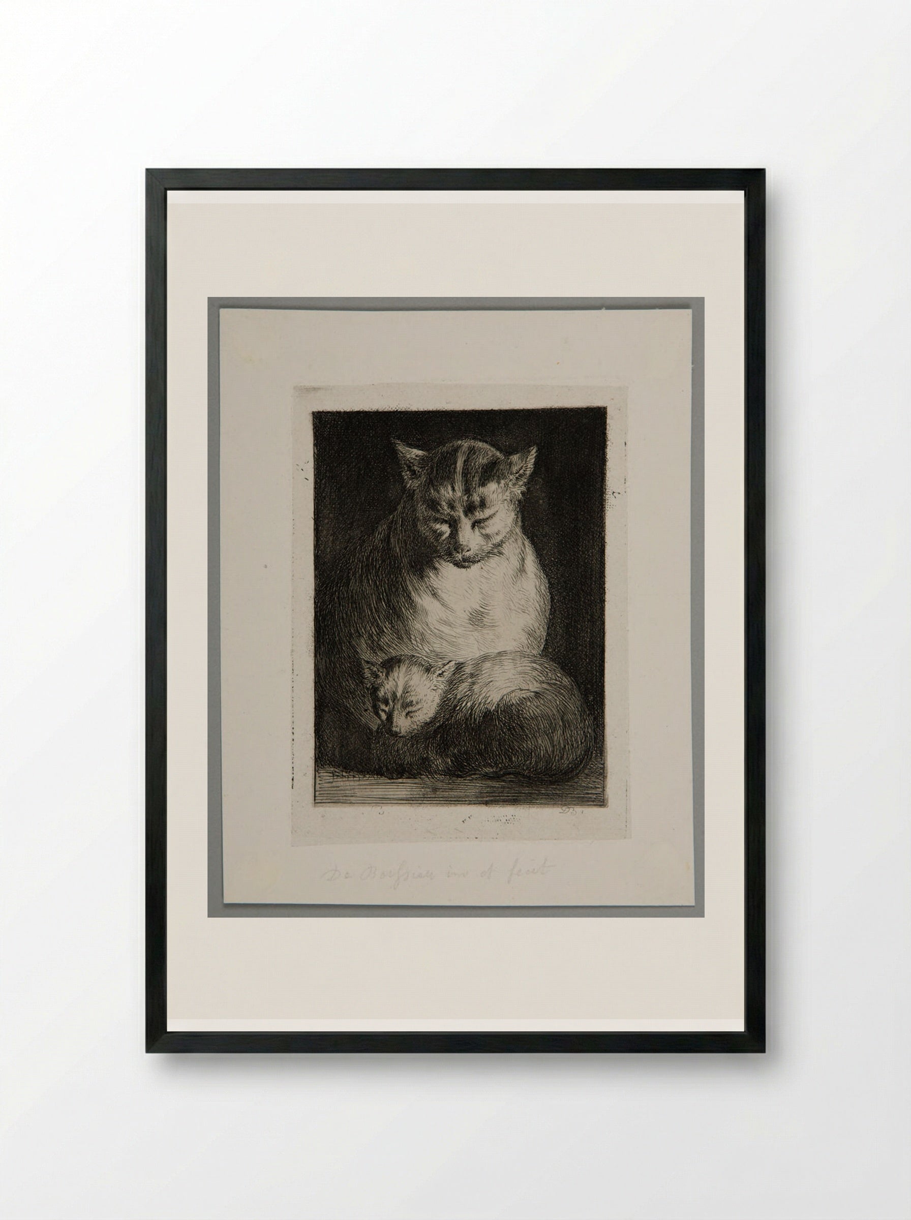 Cat Sitting with a Kitten - Jean-Jacques de Boissieu - Framed Print Black