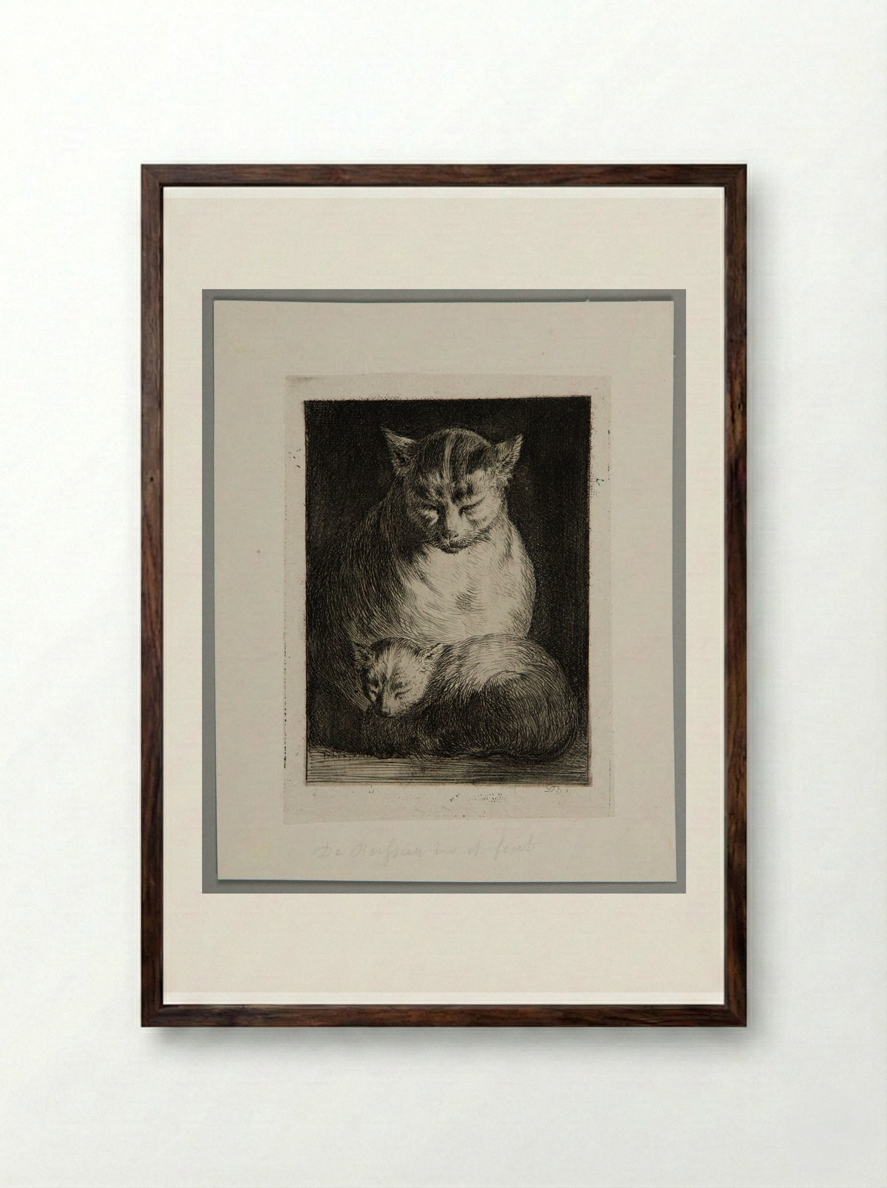 Cat Sitting with a Kitten - Jean-Jacques de Boissieu - Framed Print Dark Wood