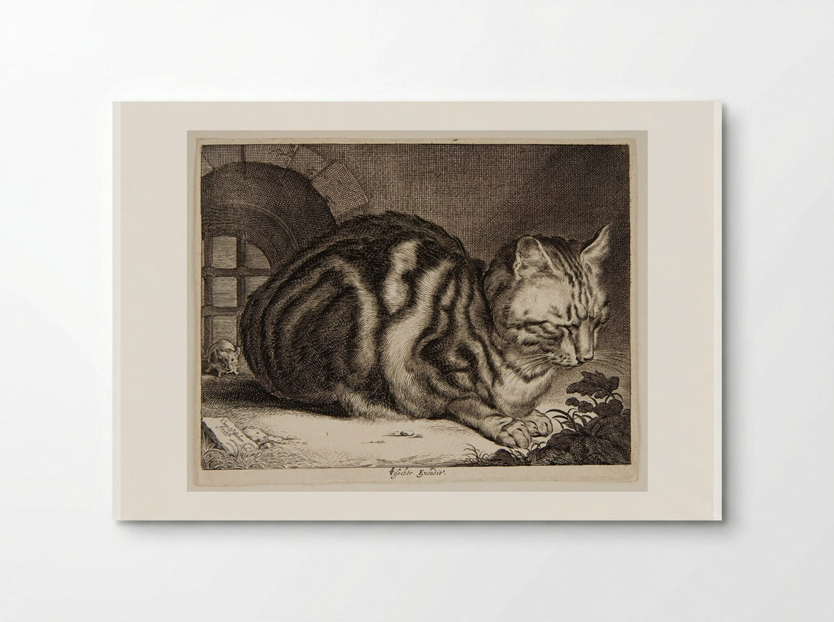 Cat Sleeping - Cornelis Visscher - Poster