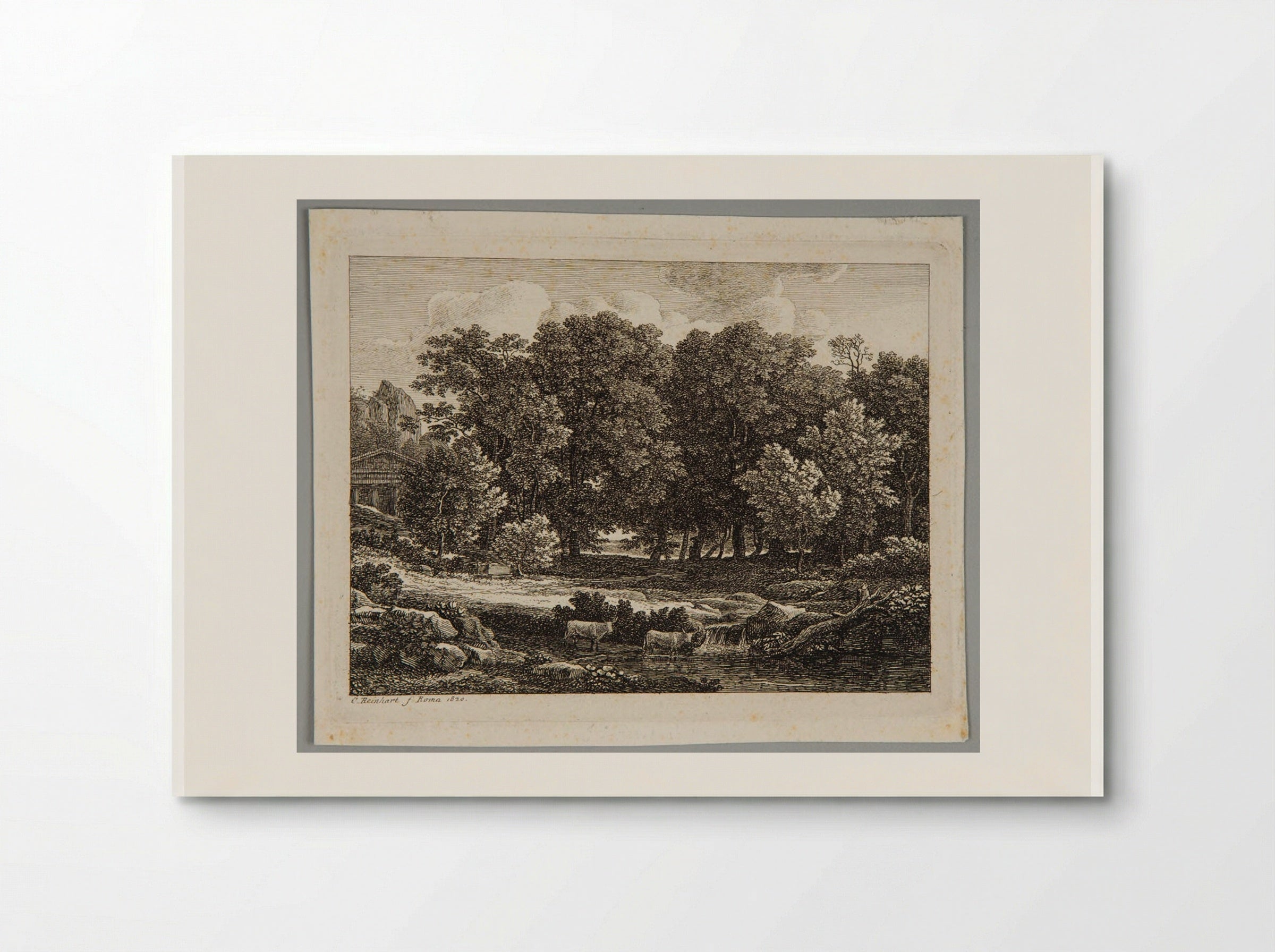 Cattle Fording a Stream - Johann Christian Reinhart - Poster