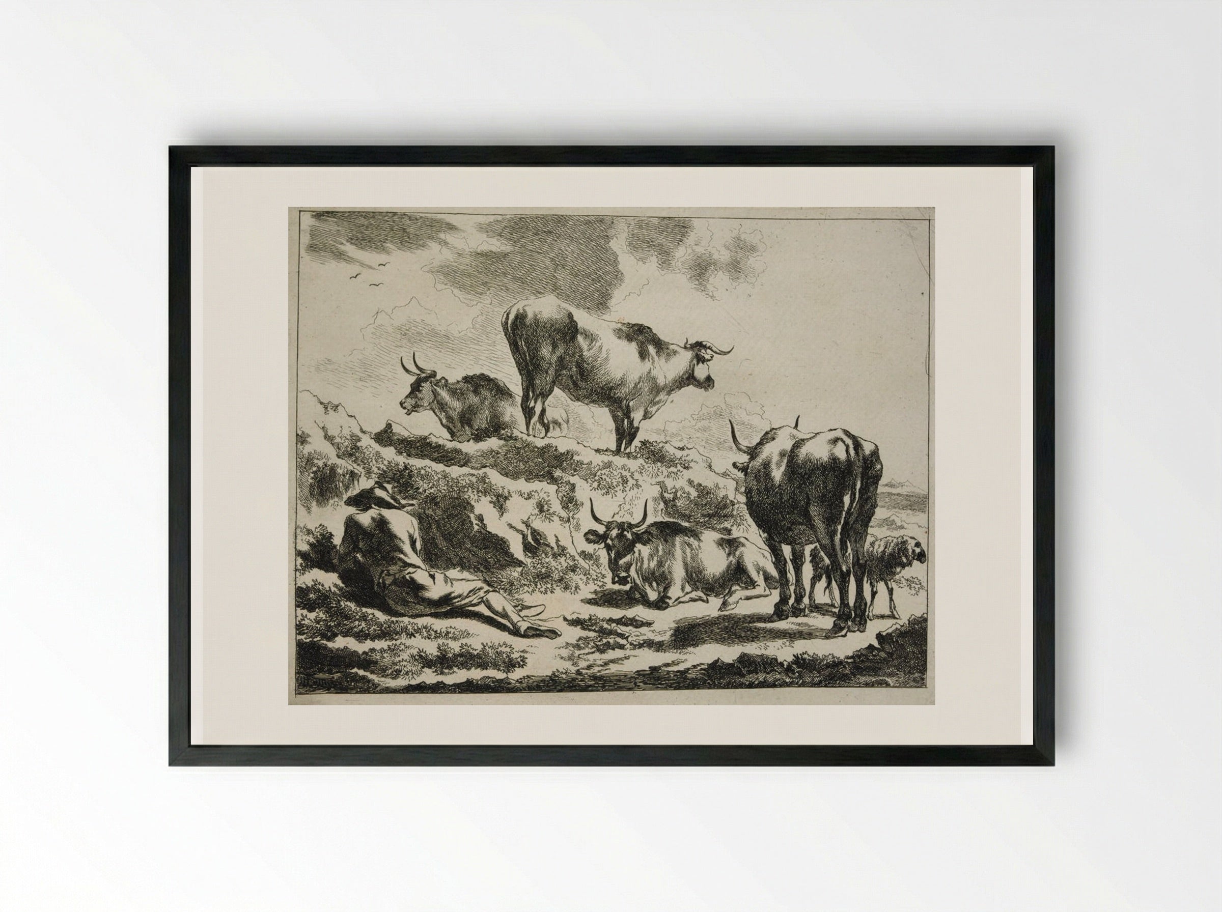 Cattle on a Hillock and Resting Cowherd - Johannes Visscher - Framed Print Black