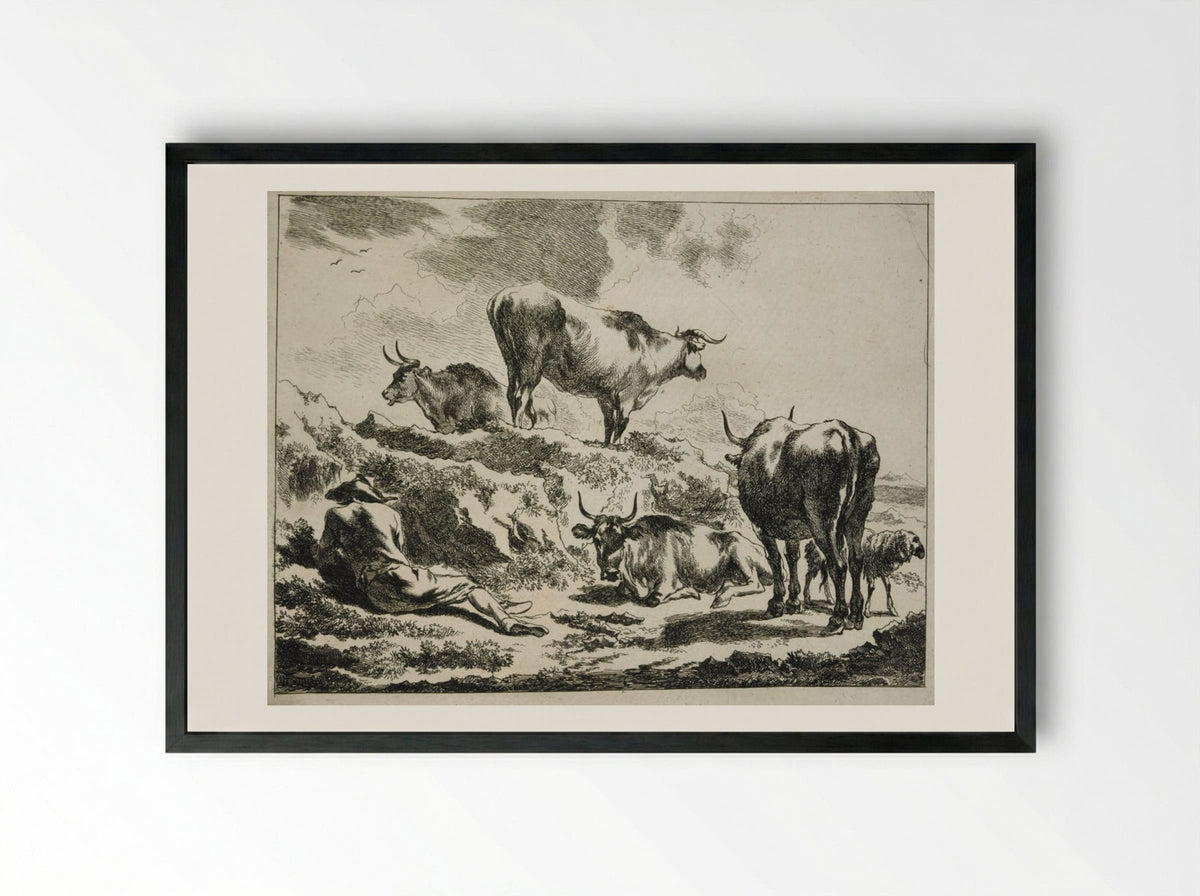 Cattle on a Hillock and Resting Cowherd - Johannes Visscher - Framed Print Black