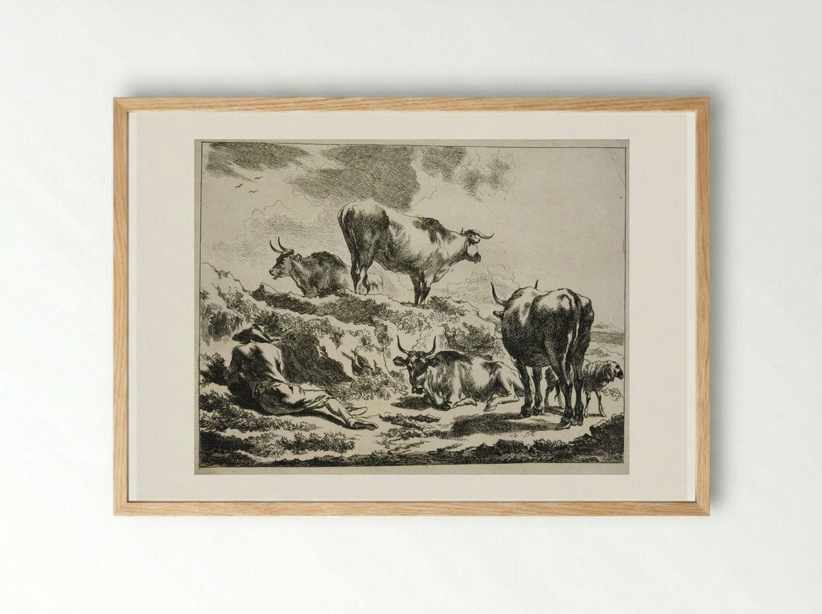 Cattle on a Hillock and Resting Cowherd - Johannes Visscher - Framed Print Wood