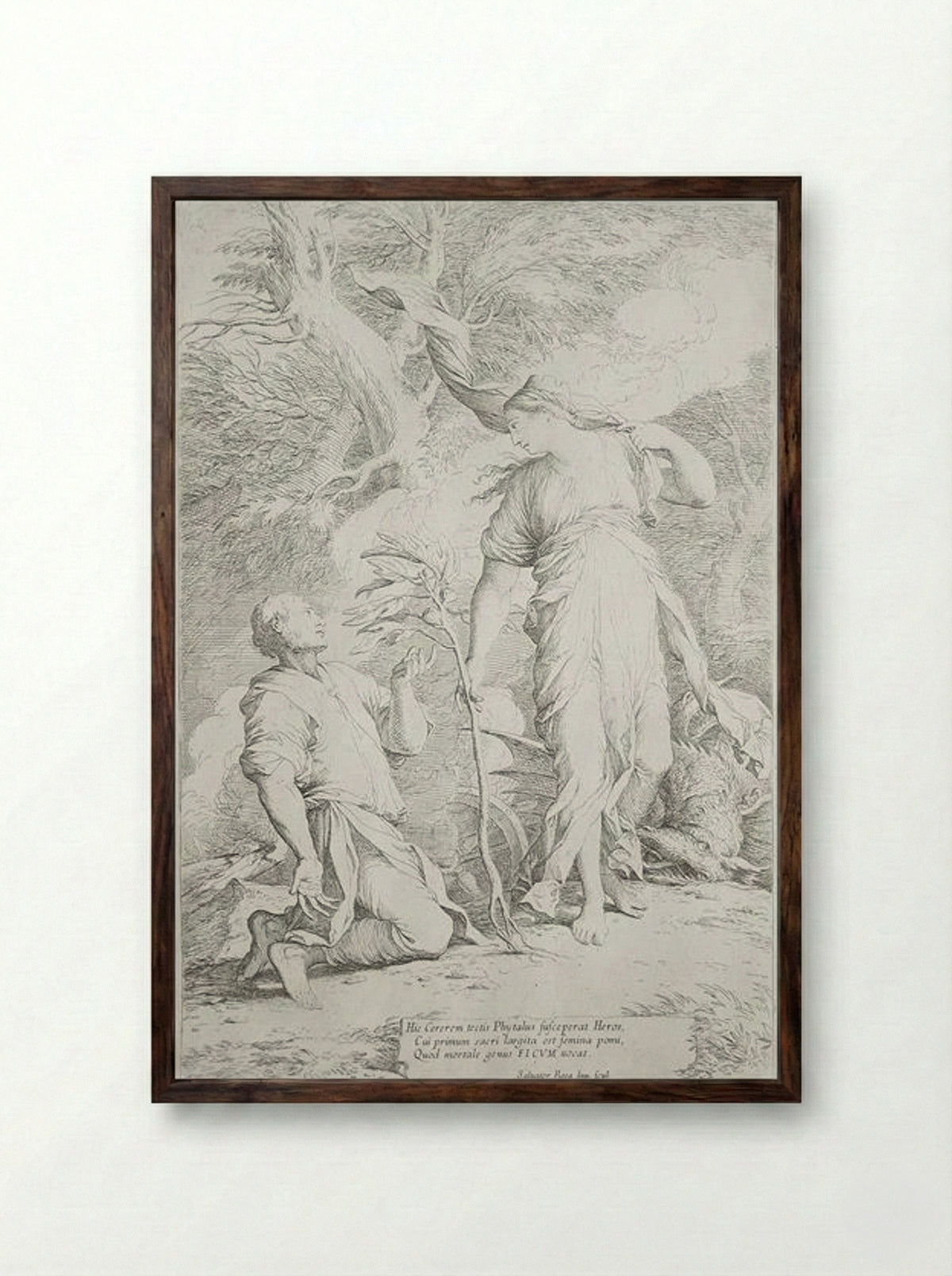 Ceres and Phytalus - Salvator Rosa - Framed Print Dark Wood