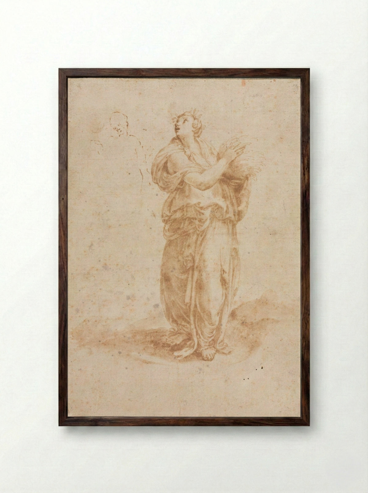 Ceres - Lelio Orsi - Framed Print Dark Wood