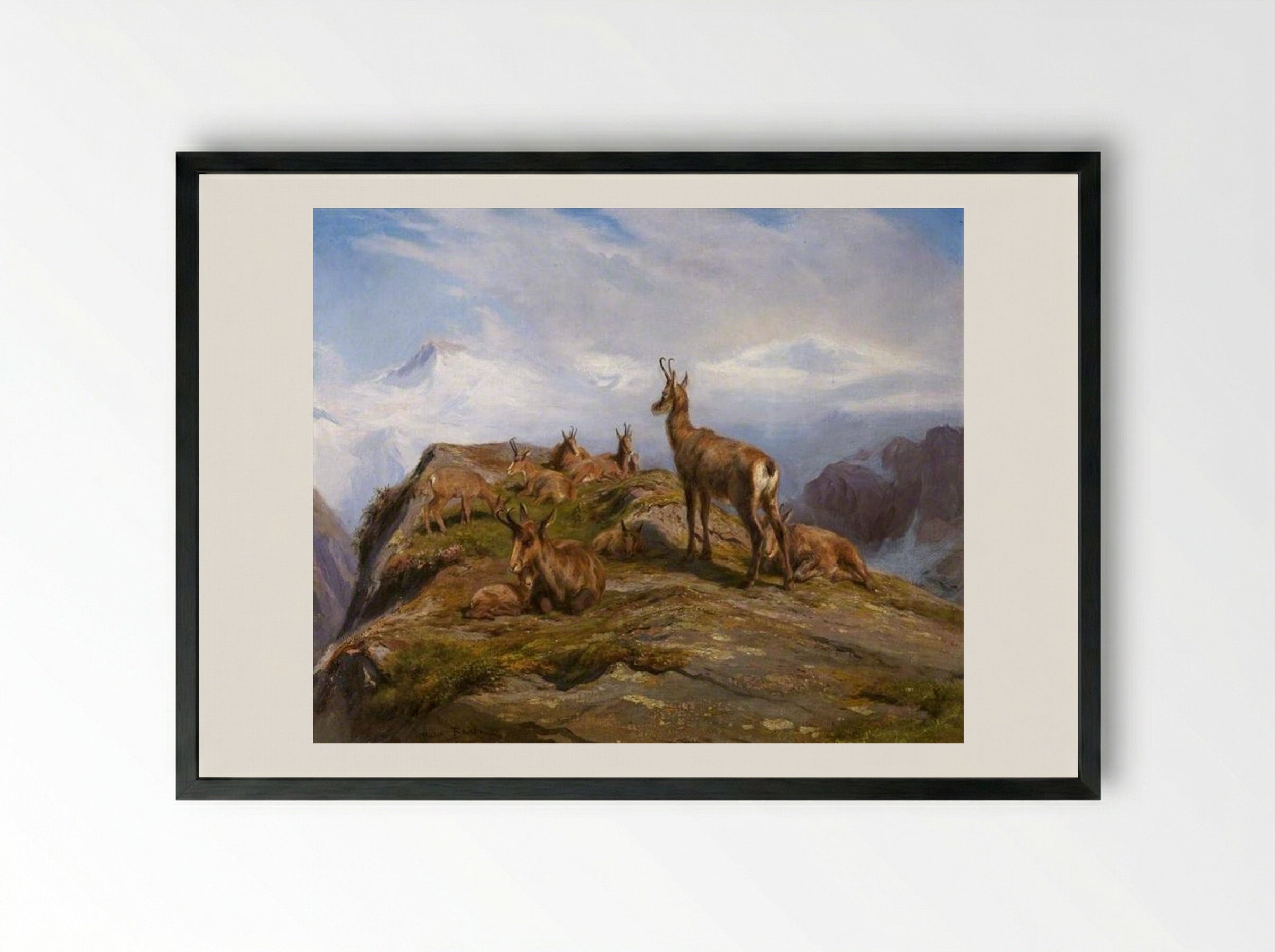 Chamois - Rosa Bonheur - Framed Print Black
