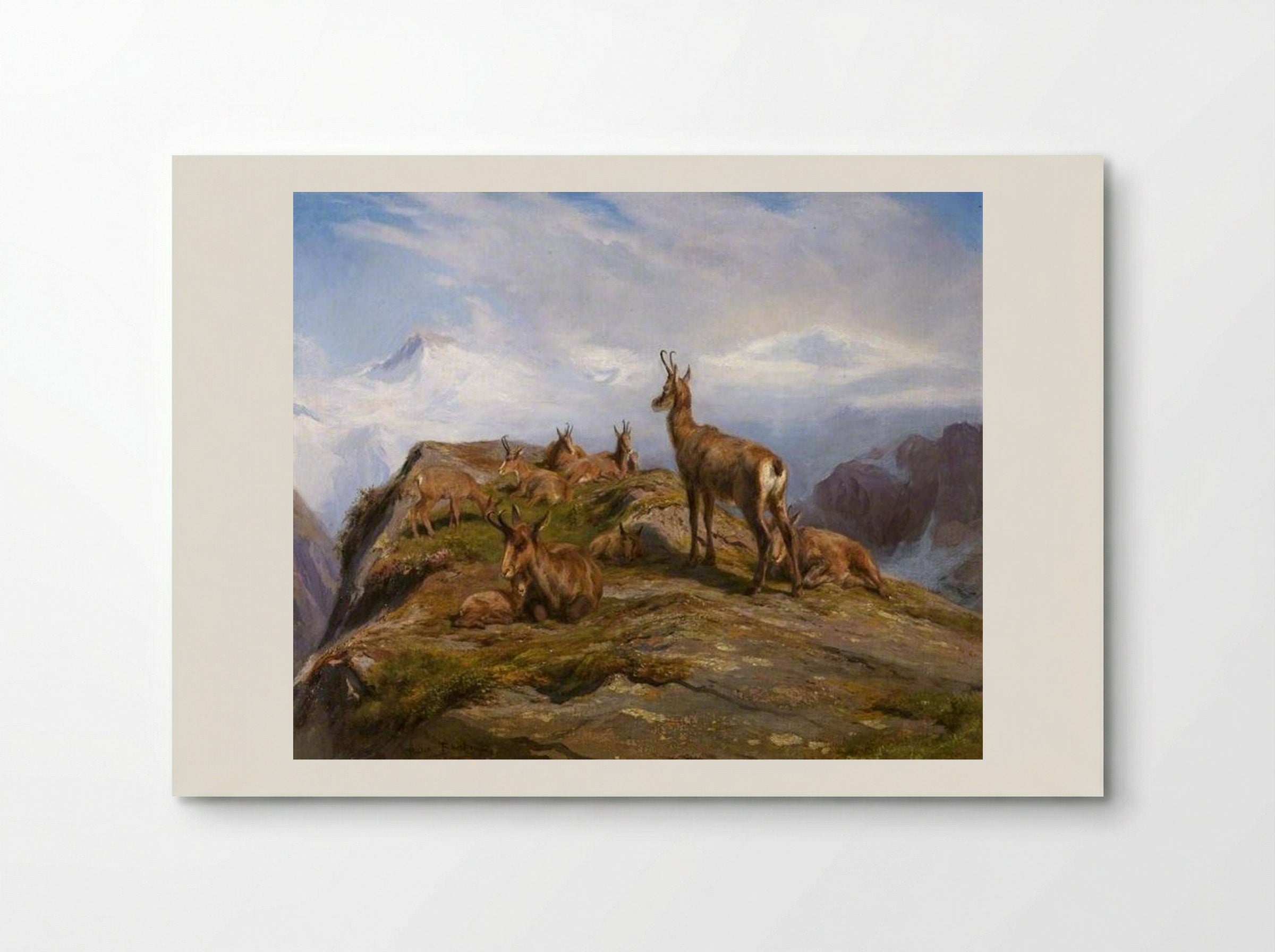 Chamois - Rosa Bonheur - Poster