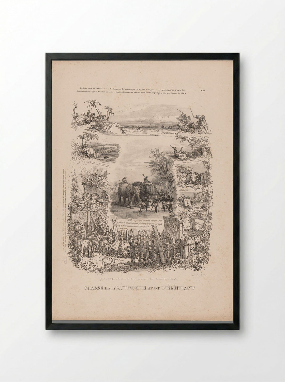 Chasse de l'autruche et de l'éléphant - Charles Aubry - Framed Print Black