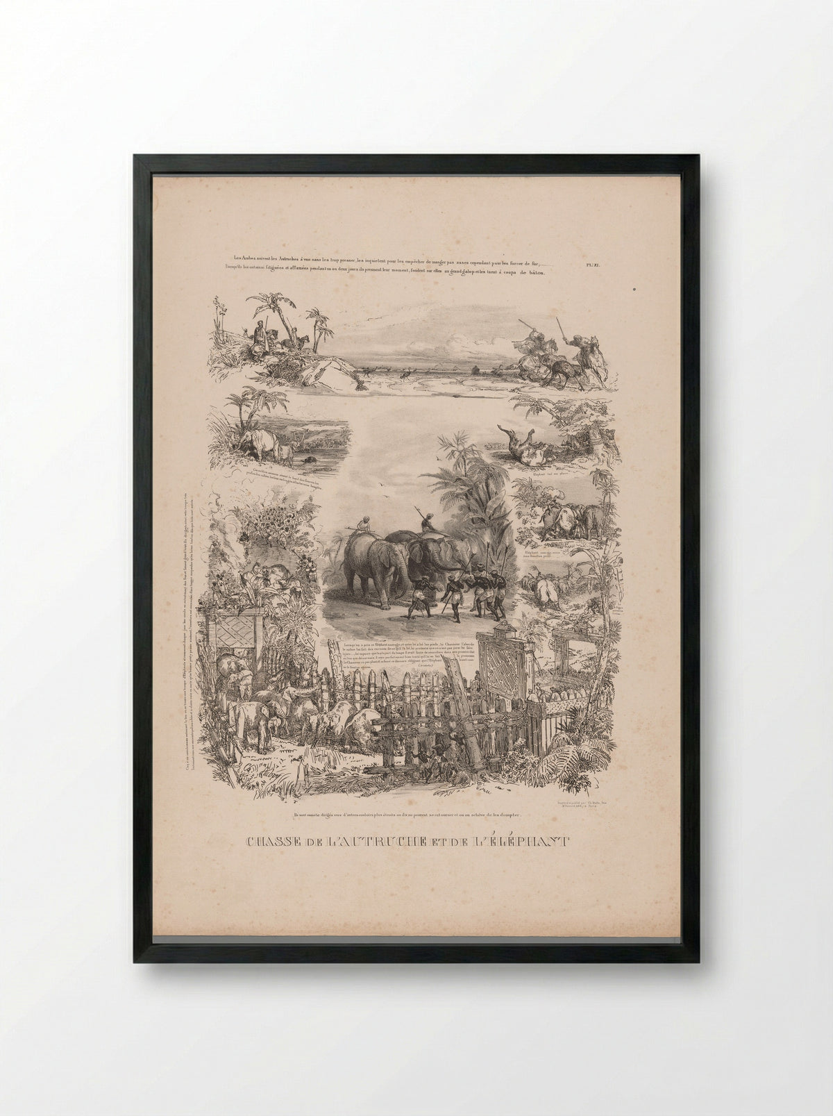 Chasse de l'autruche et de l'éléphant - Charles Aubry - Framed Print Black