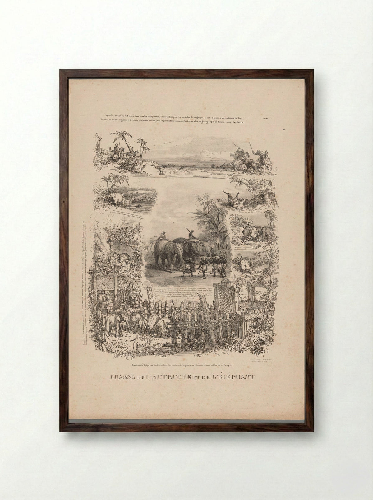 Chasse de l'autruche et de l'éléphant - Charles Aubry - Framed Print Dark Wood