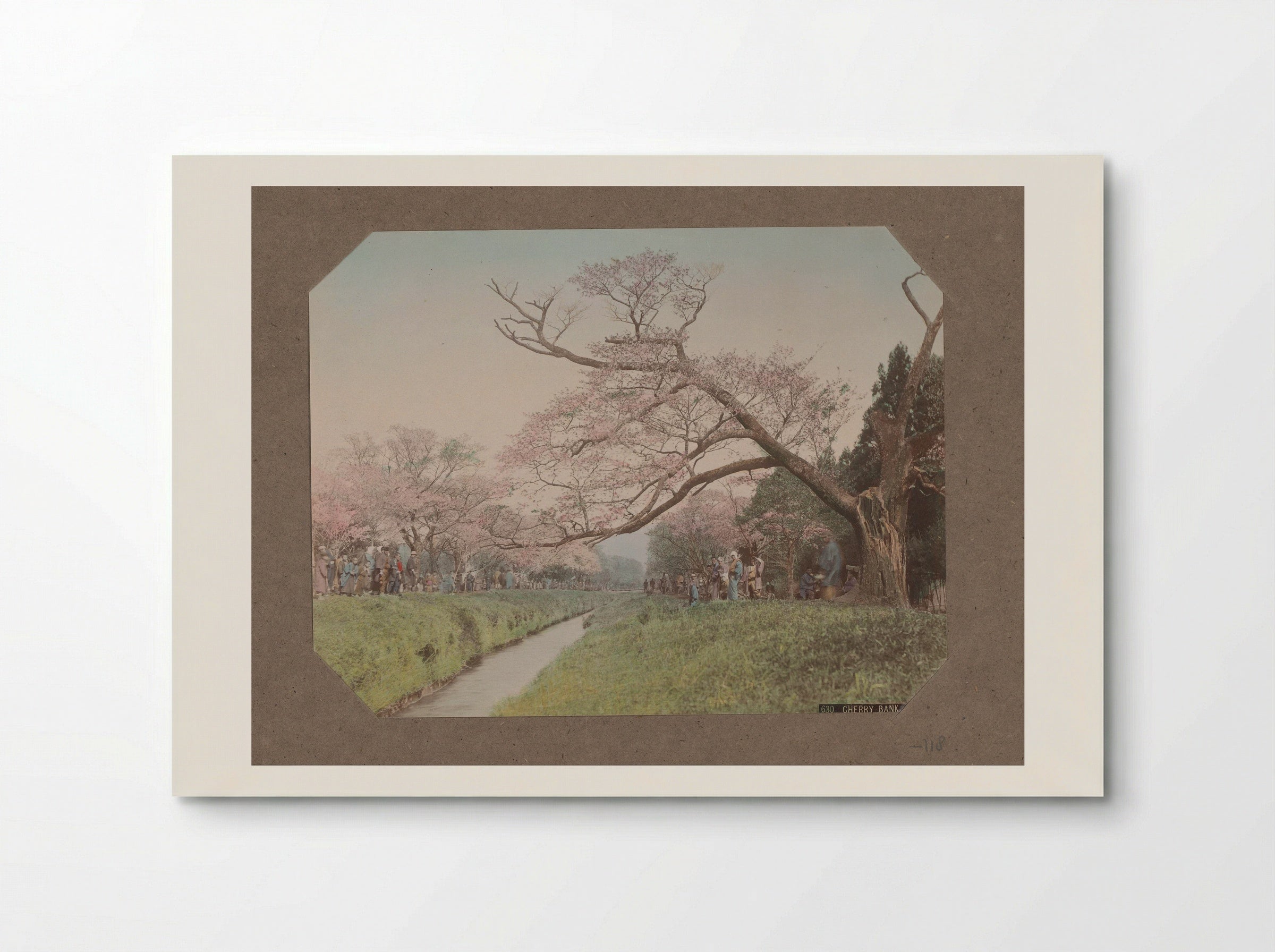 Cherry Bank, Koganei - Kusakabe Kimbei - Poster
