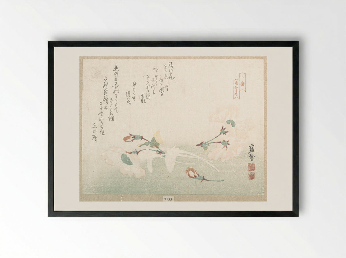 Cherry Flowers - Kikuchi Yōsai - Framed Print Black