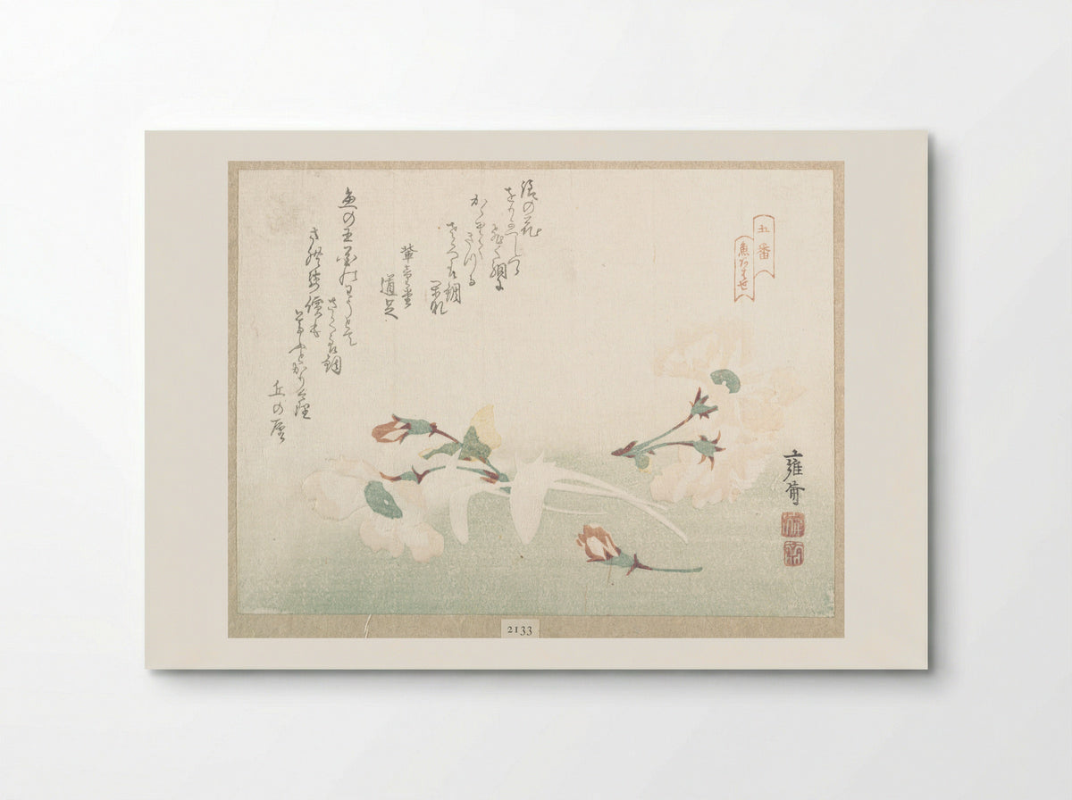 Cherry Flowers - Kikuchi Yōsai - Poster