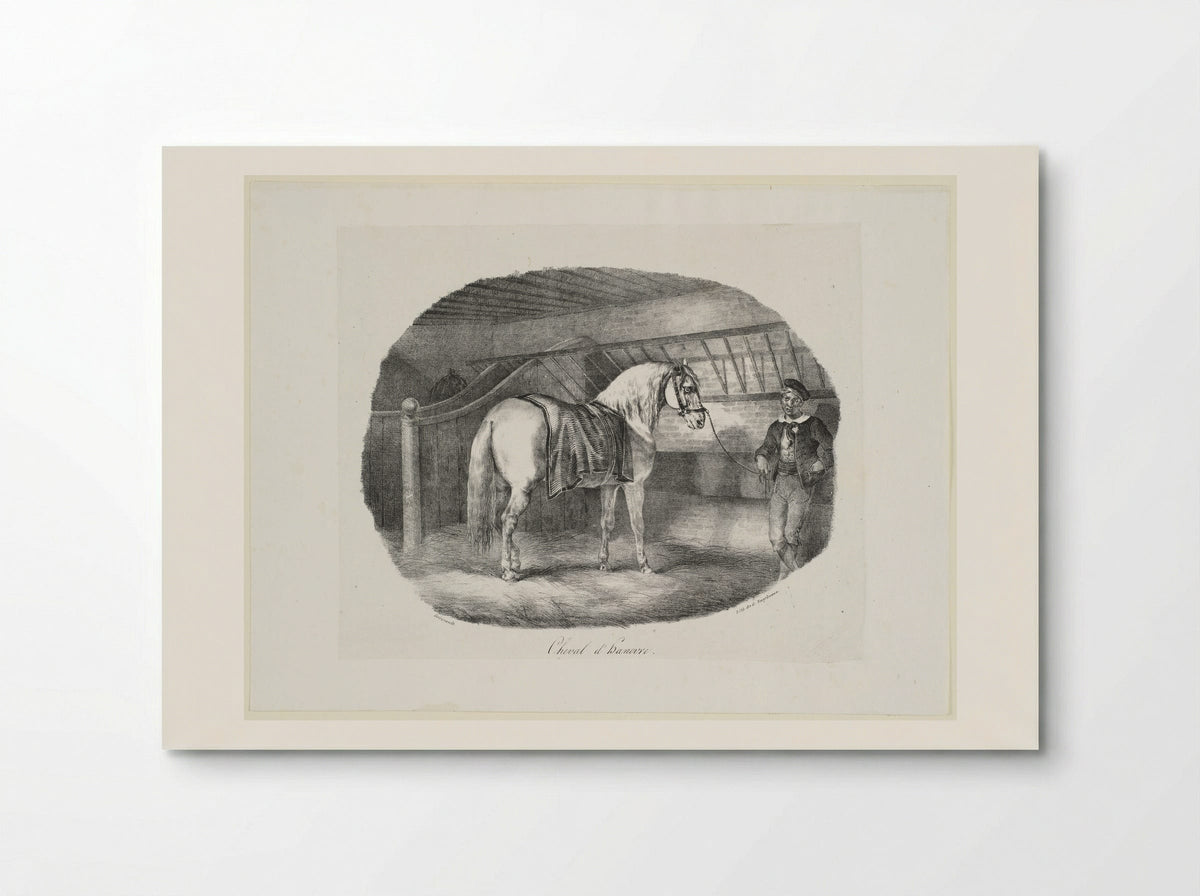 Cheval d'Hanovre - Théodore Géricault - Poster